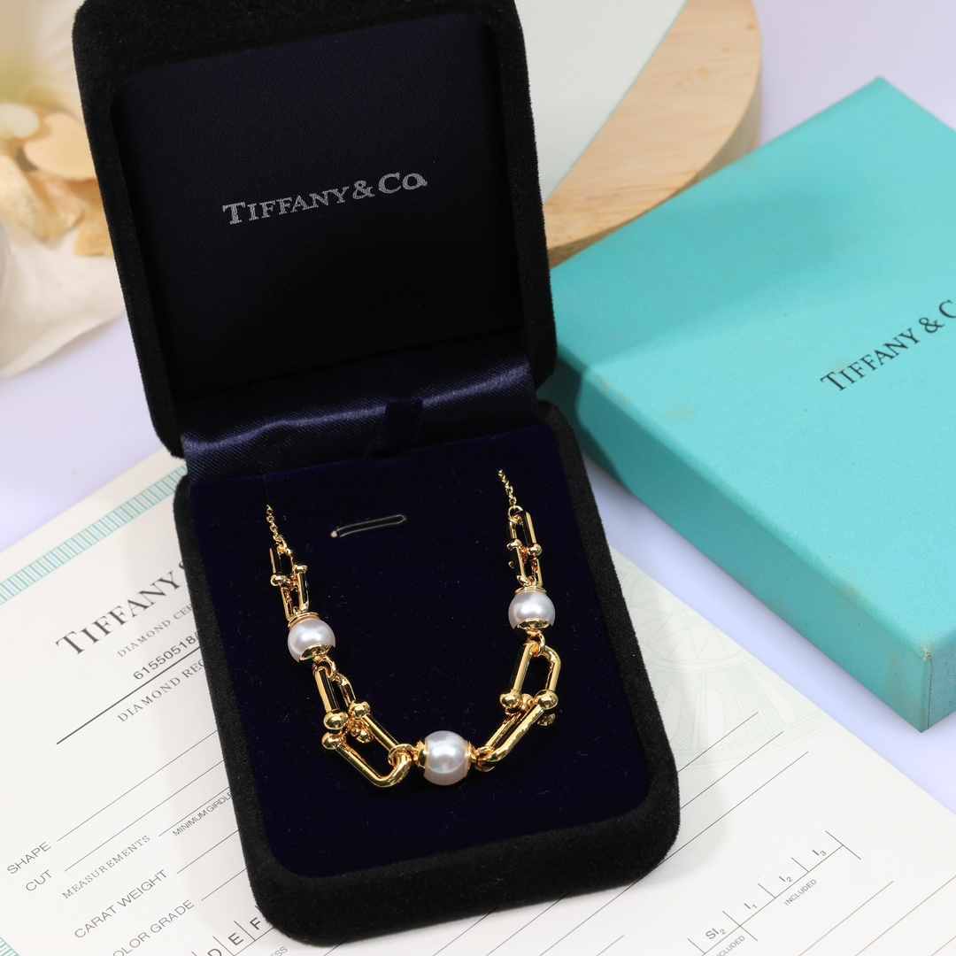 Tiffany & Co. Link Necklace - DopestKickz