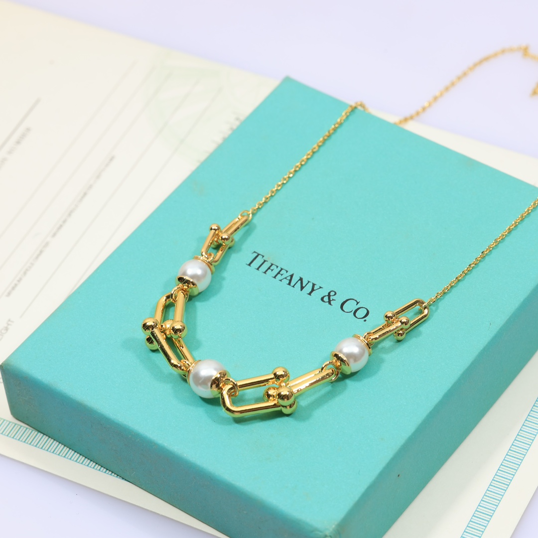 Tiffany & Co. Link Necklace - DopestKickz