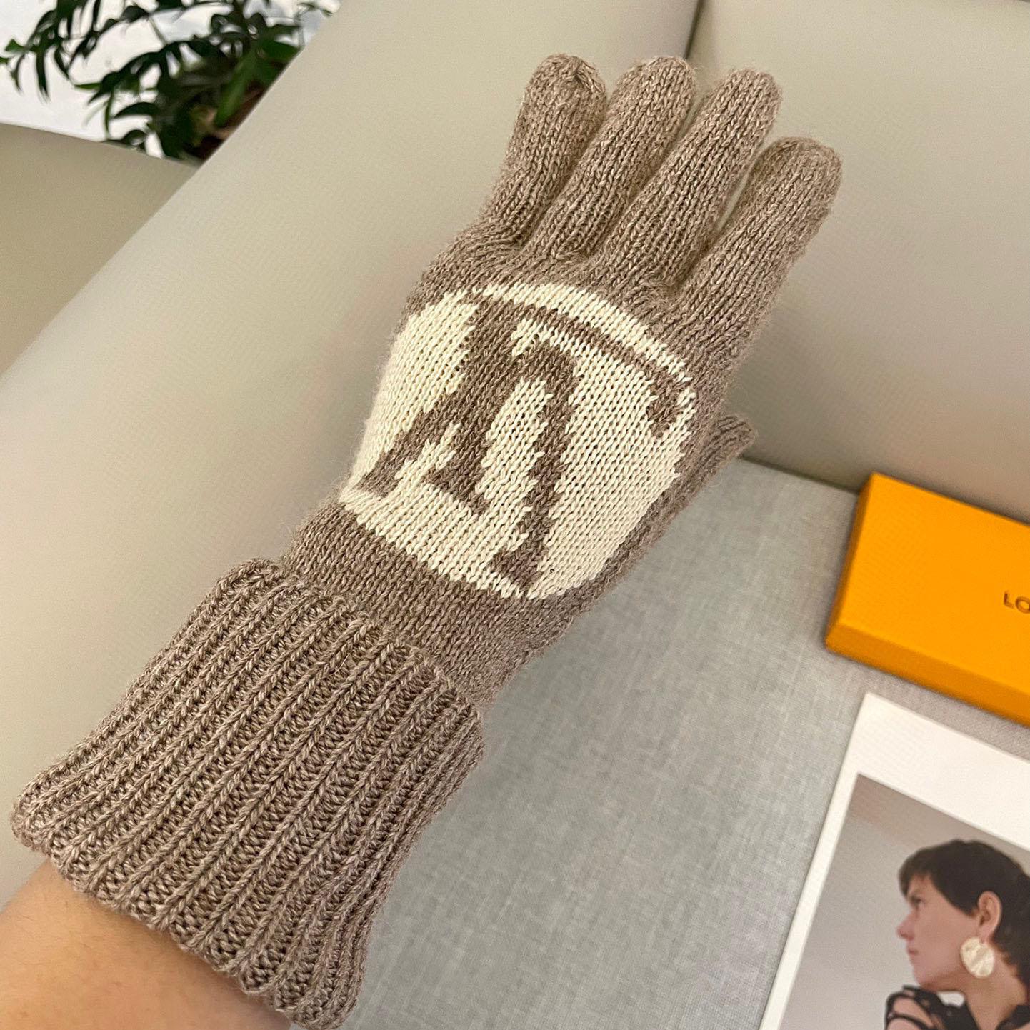 Louis Vuitton LV Medallion Gloves - DopestKickz