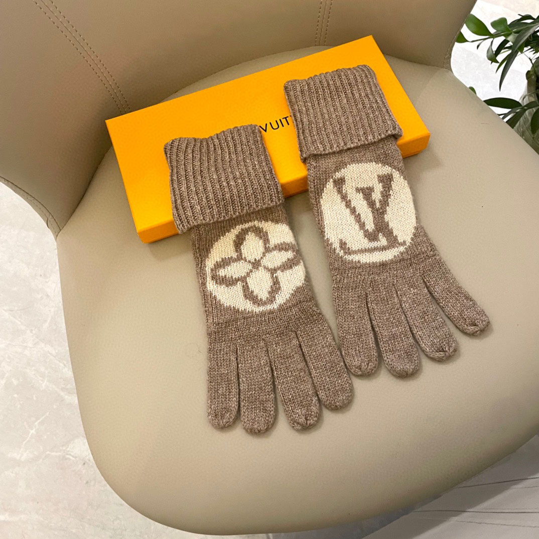 Louis Vuitton LV Medallion Gloves - DopestKickz