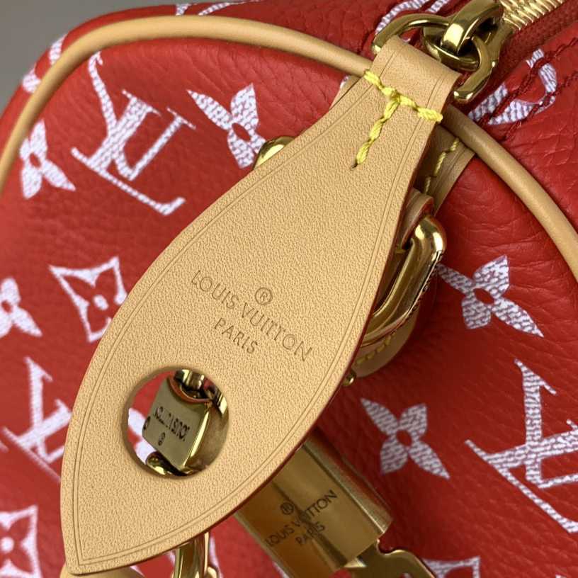 Louis Vuitton Speedy P9 Bandoulière 25   M24425 - DopestKickz
