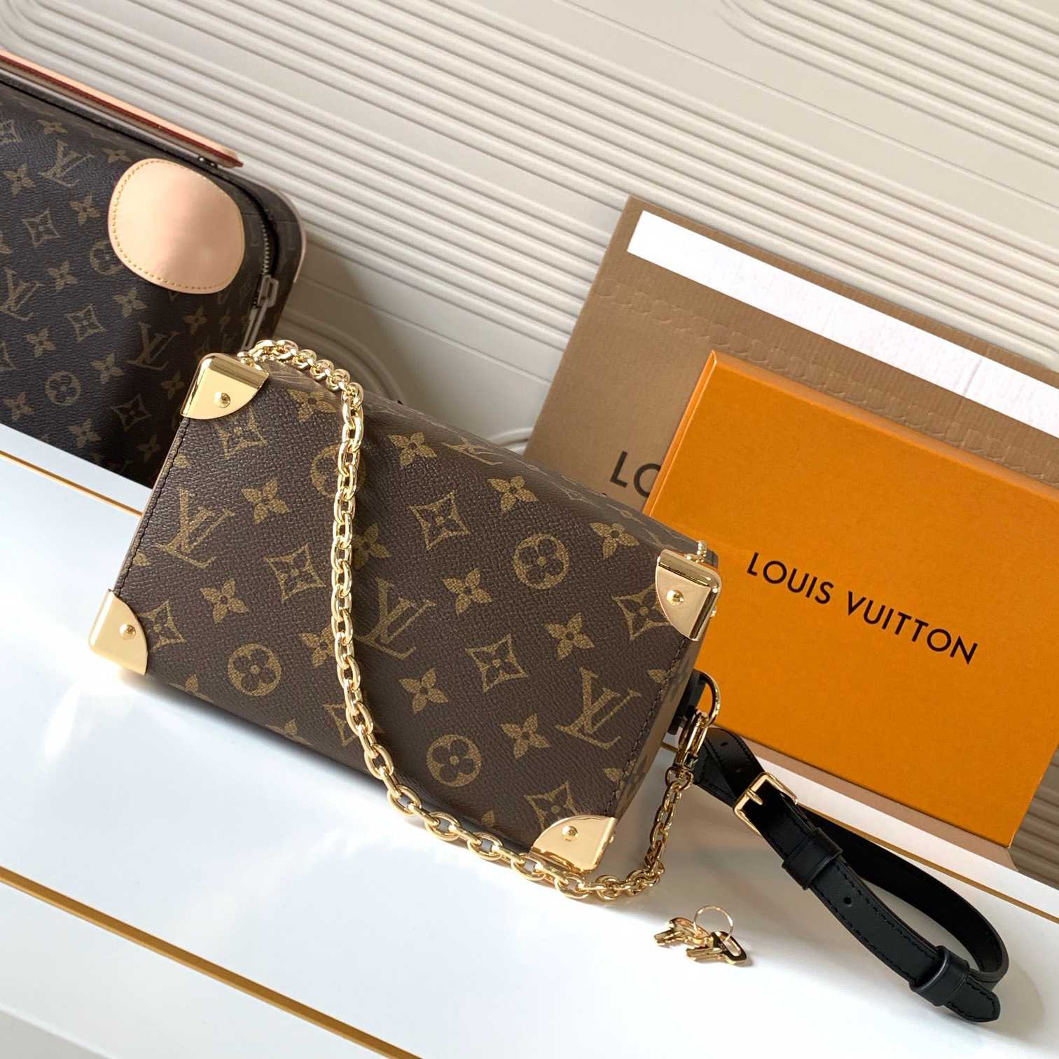 Louis Vuitton Speedy Trunk 20  M13146 - DopestKickz