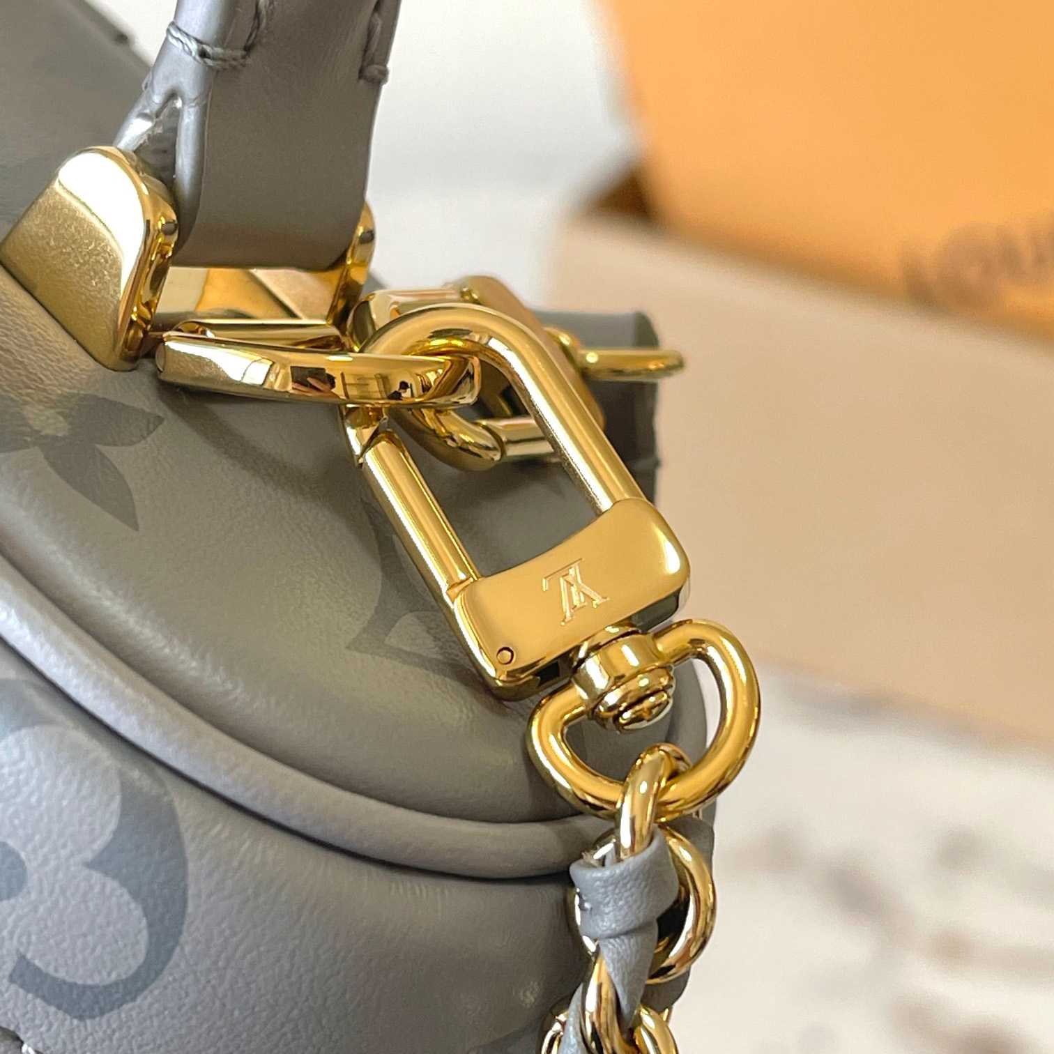 Louis Vuitton Vanity Chain Pouch    M12427 - DopestKickz