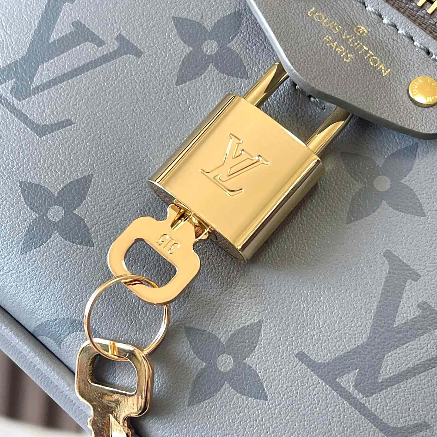 Louis Vuitton Vanity Chain Pouch    M12427 - DopestKickz