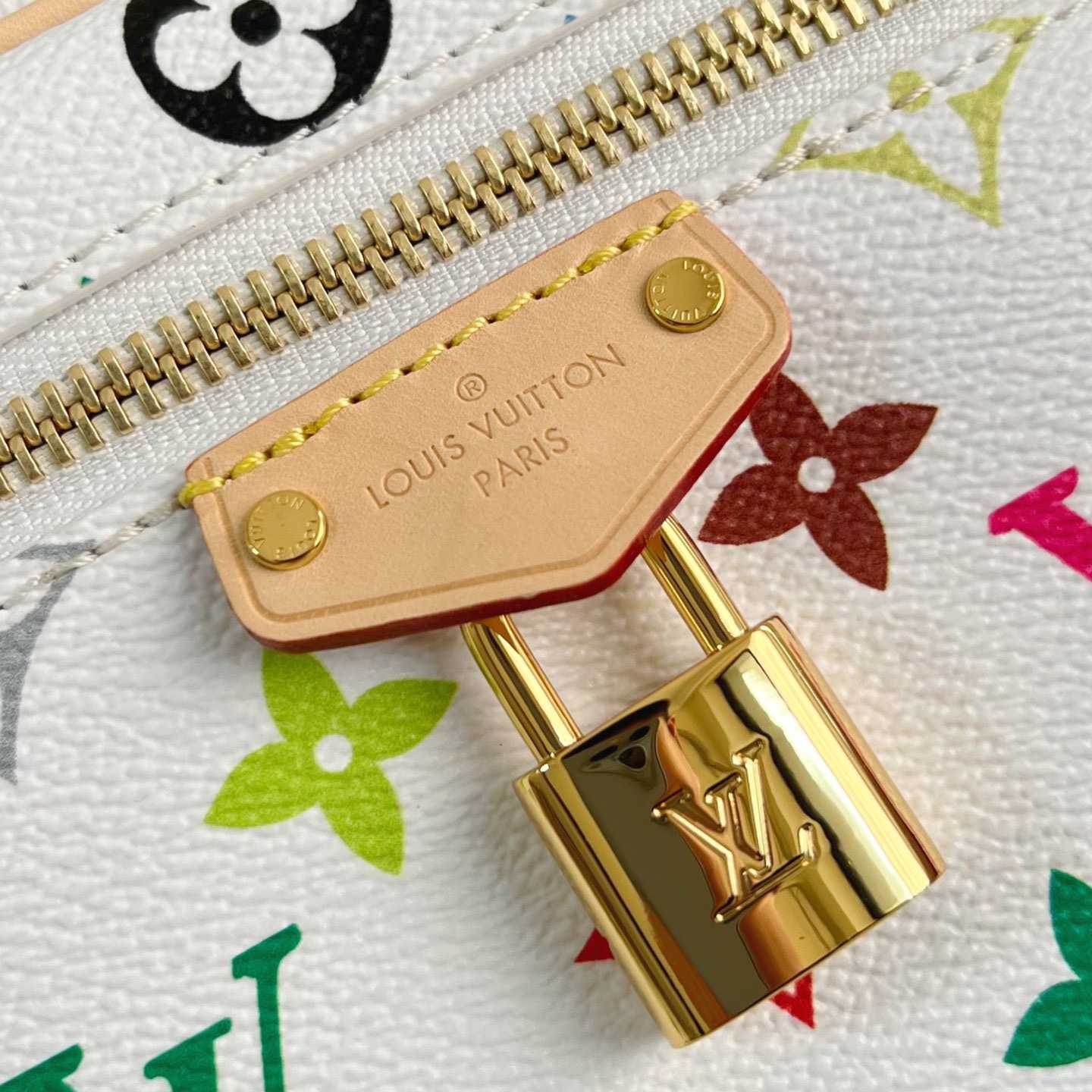 Louis Vuitton LV x TM Vanity Chain Pouch   M13662 - DopestKickz