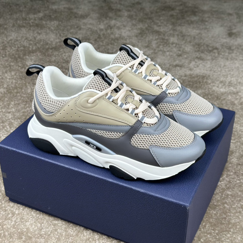 Dior B22 Sneaker  - DopestKickz