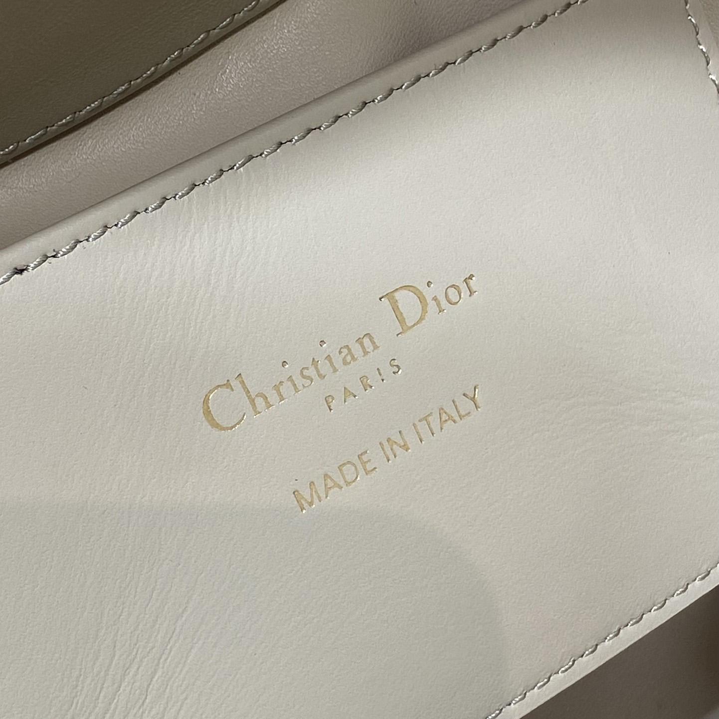 Dior Toujours Vertical Nano Tote Bag  - DopestKickz