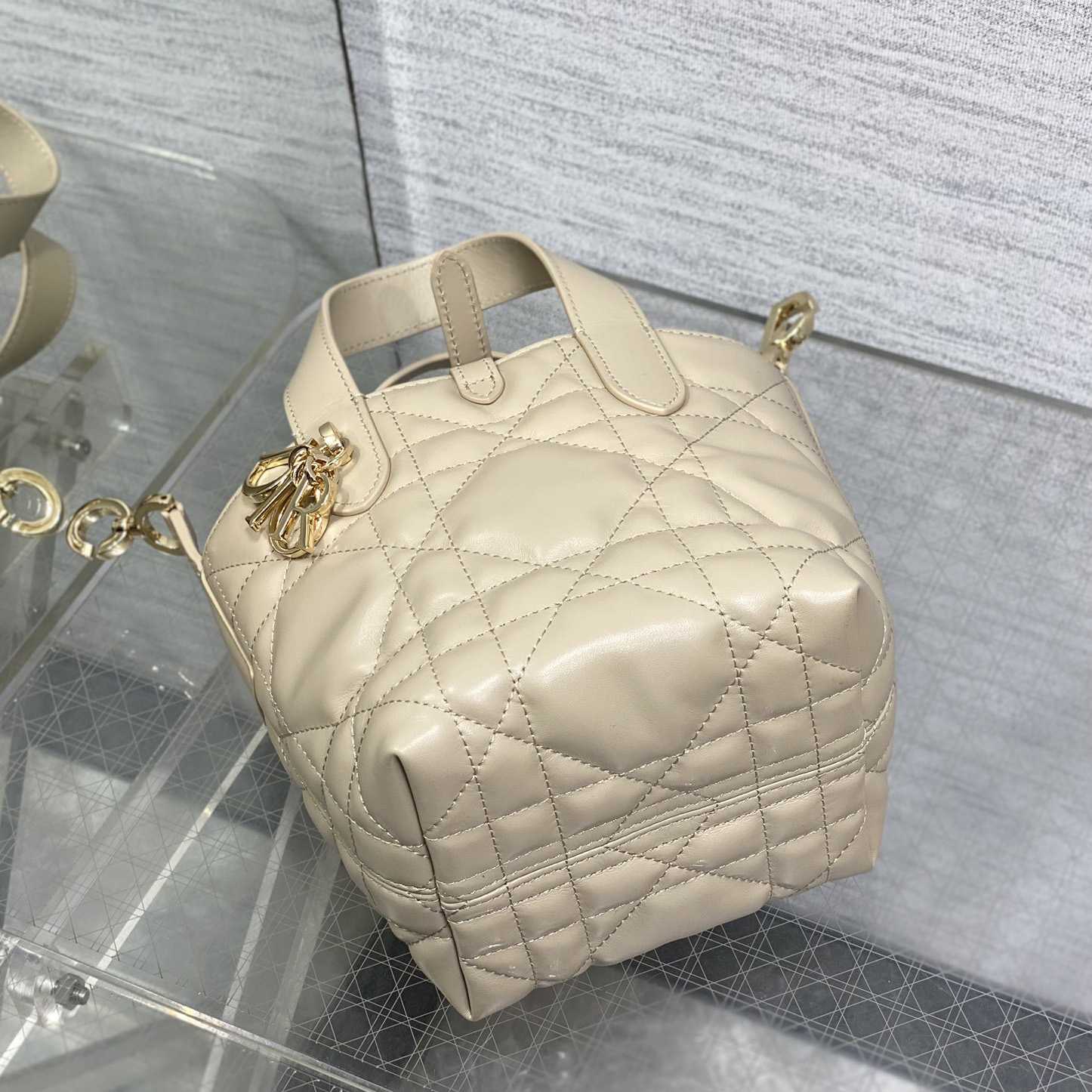 Dior Toujours Vertical Nano Tote Bag  - DopestKickz
