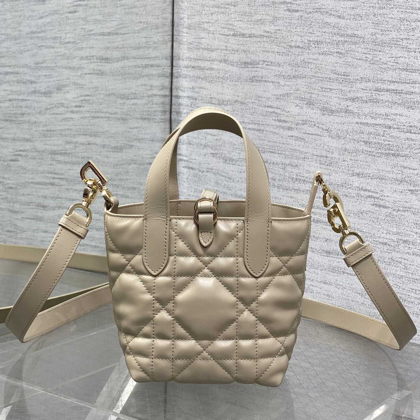 Dior Toujours Vertical Nano Tote Bag  - DopestKickz