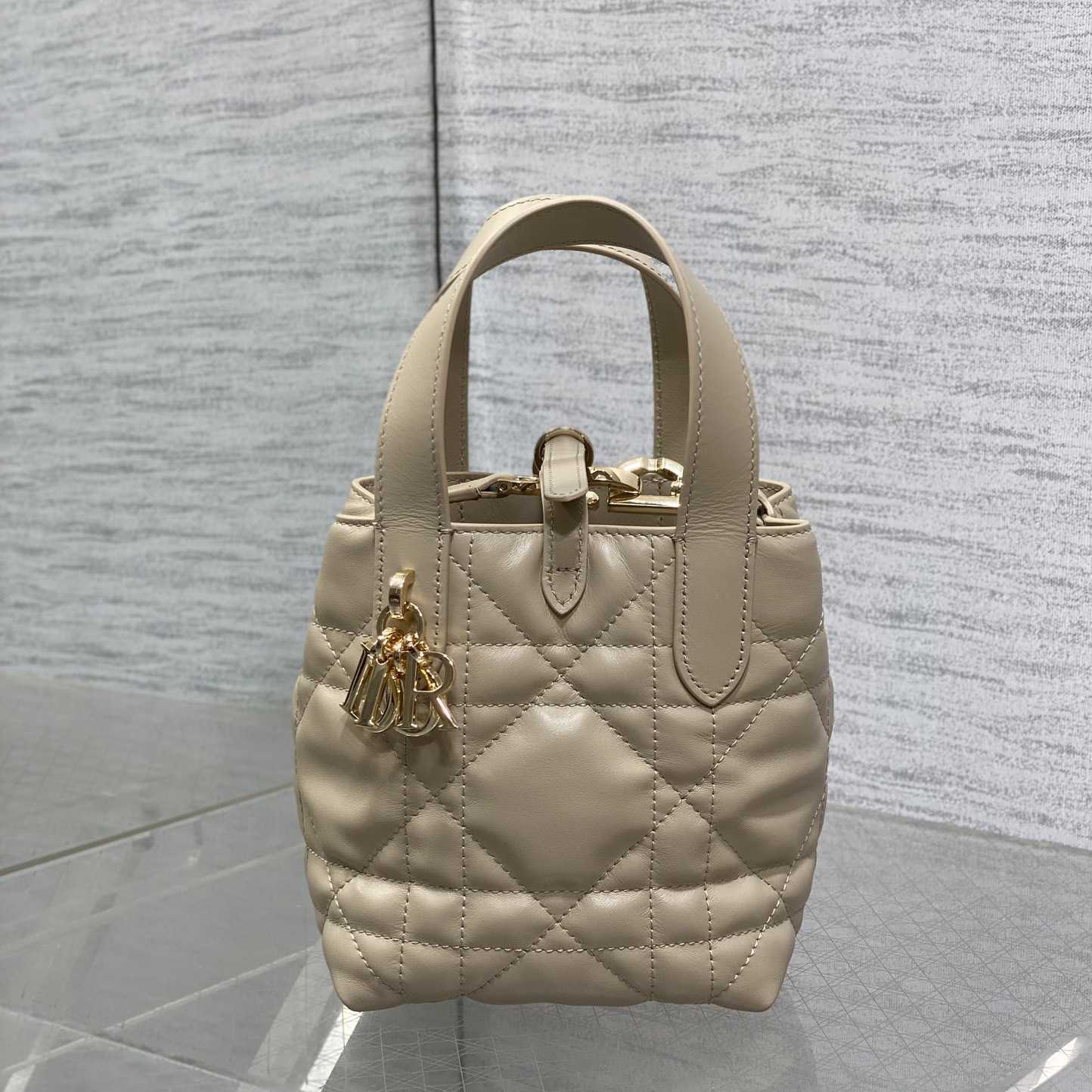 Dior Toujours Vertical Nano Tote Bag  - DopestKickz