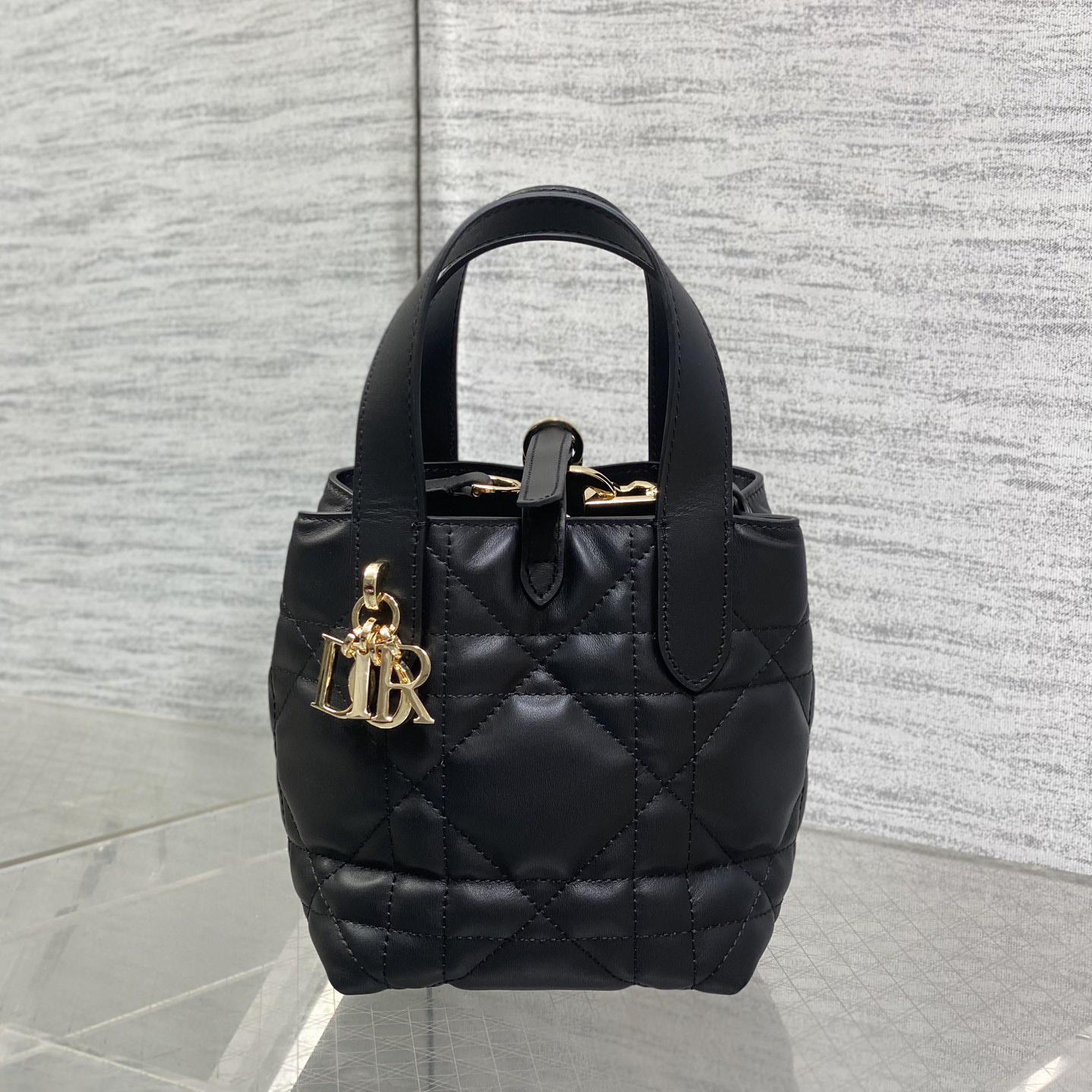Dior Toujours Vertical Nano Tote Bag  - DopestKickz