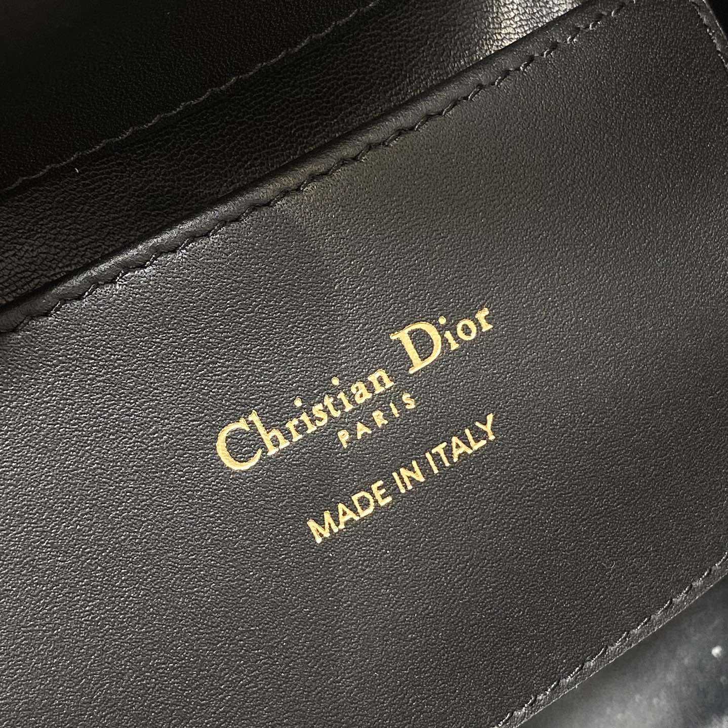 Dior Toujours Vertical Nano Tote Bag  - DopestKickz