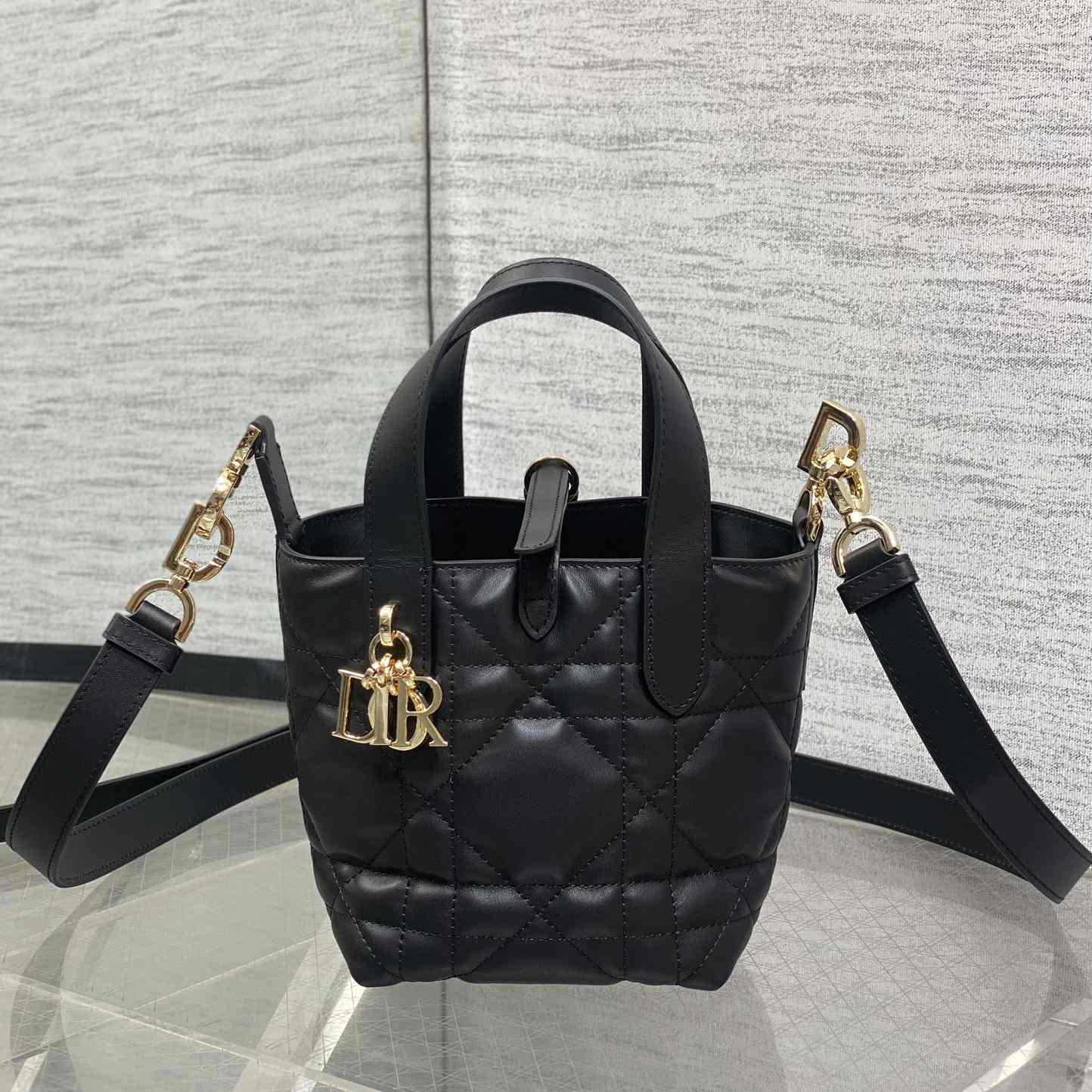 Dior Toujours Vertical Nano Tote Bag  - DopestKickz