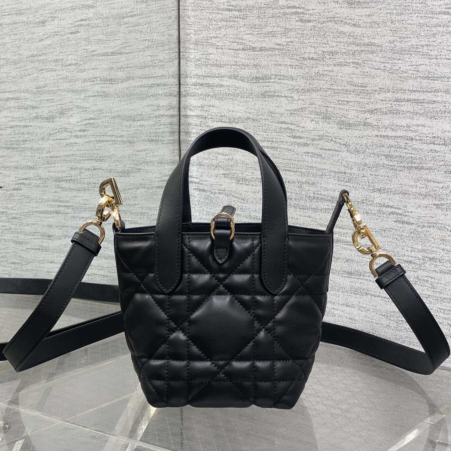 Dior Toujours Vertical Nano Tote Bag  - DopestKickz
