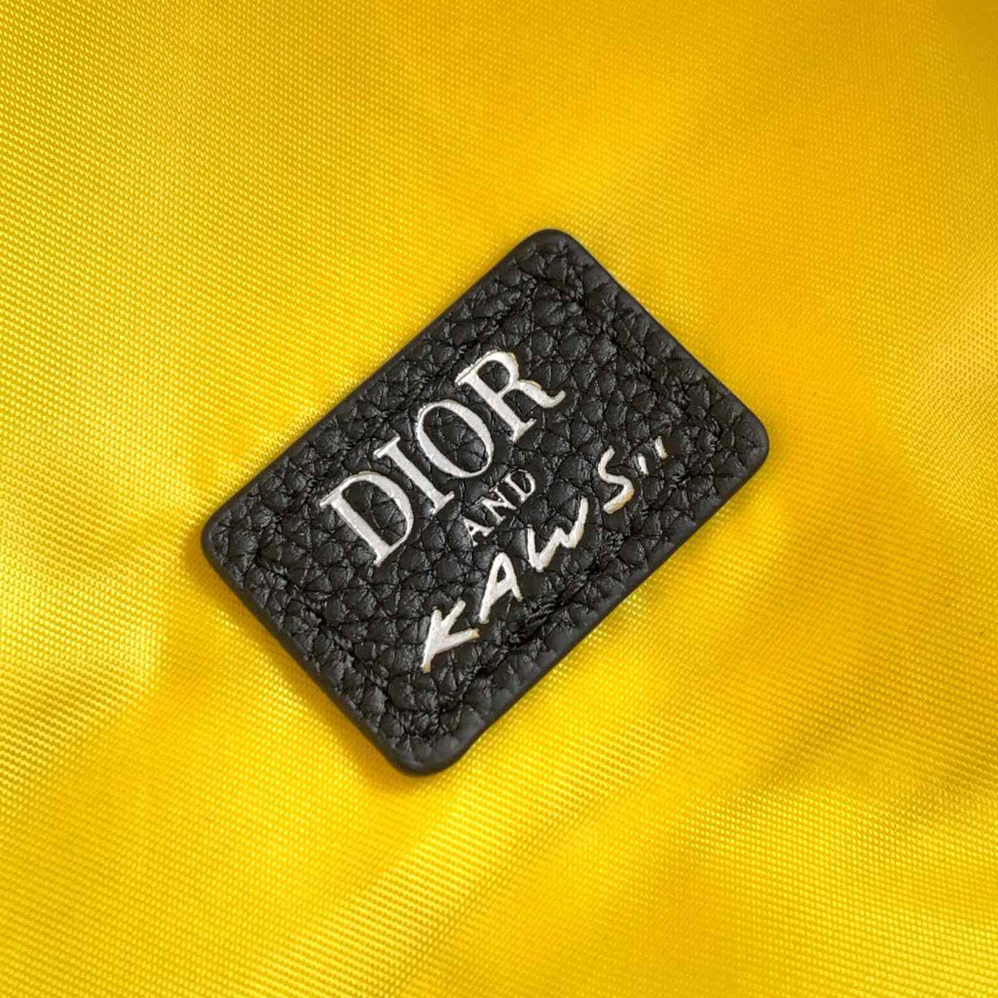 Dior And Kaws Rider 2.0 Zipped Backpack  - DopestKickz