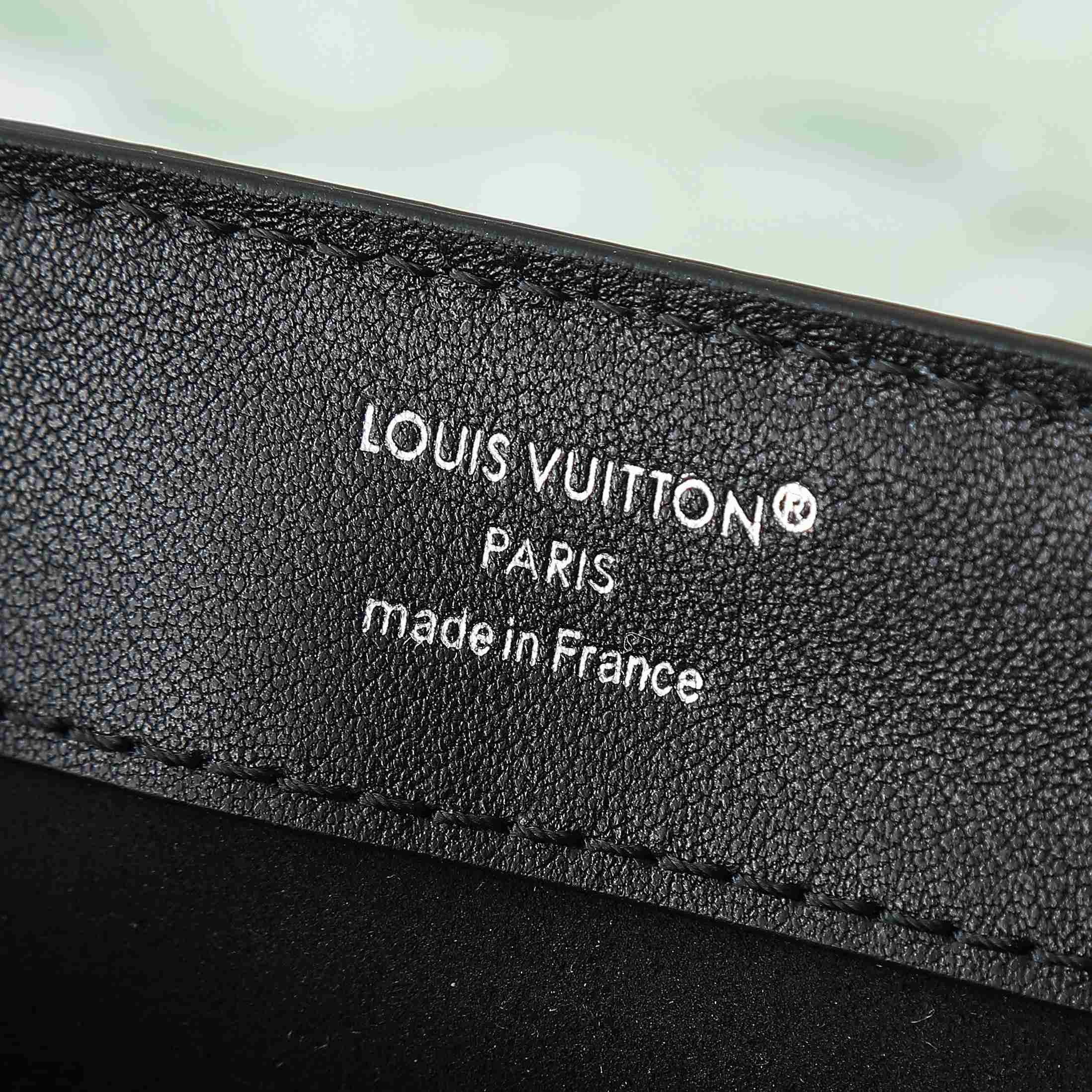 Louis Vuitton Dauphine Soft Vibe MM   M13450 - DopestKickz