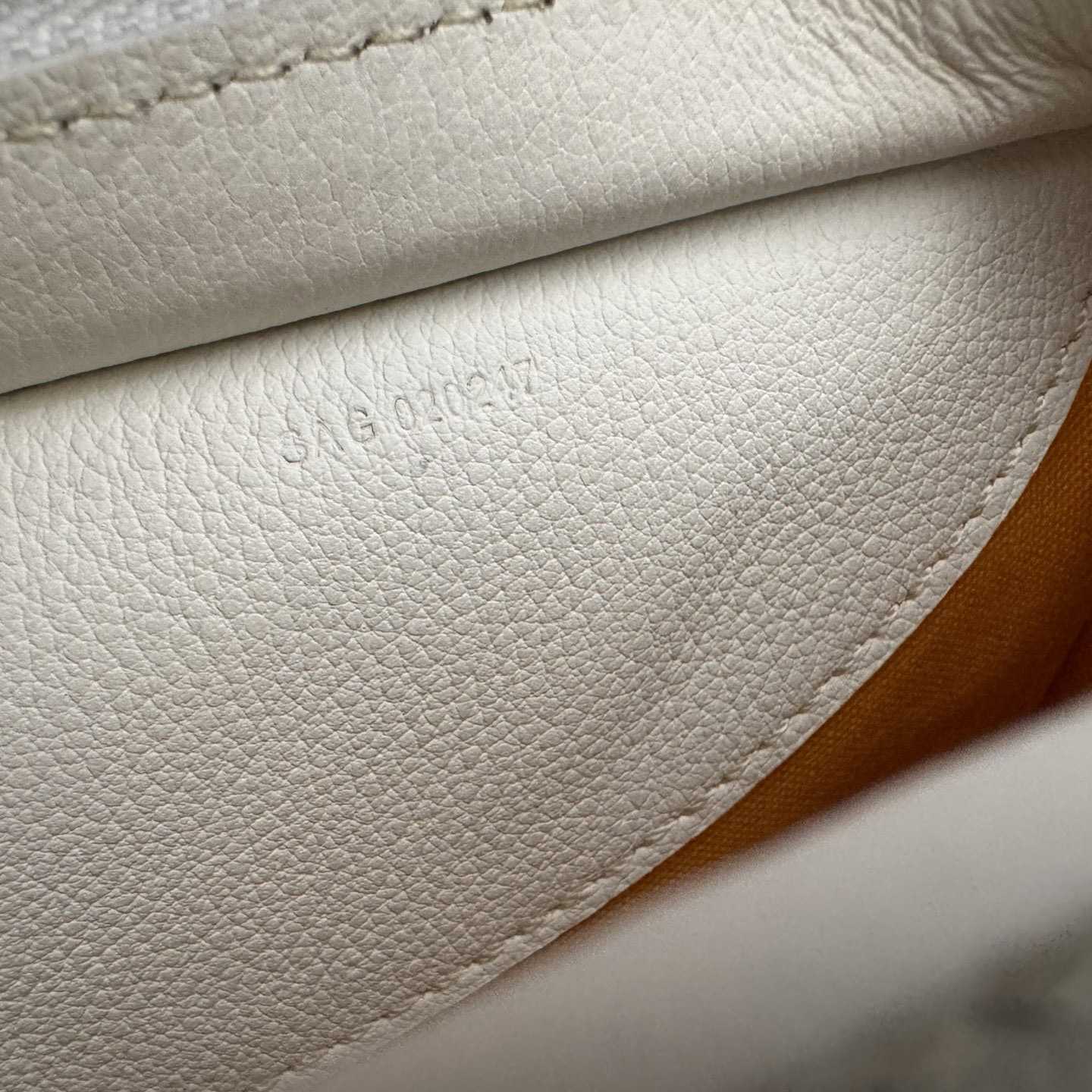 Goyard Hirondelle Bag（Without a box） - DopestKickz