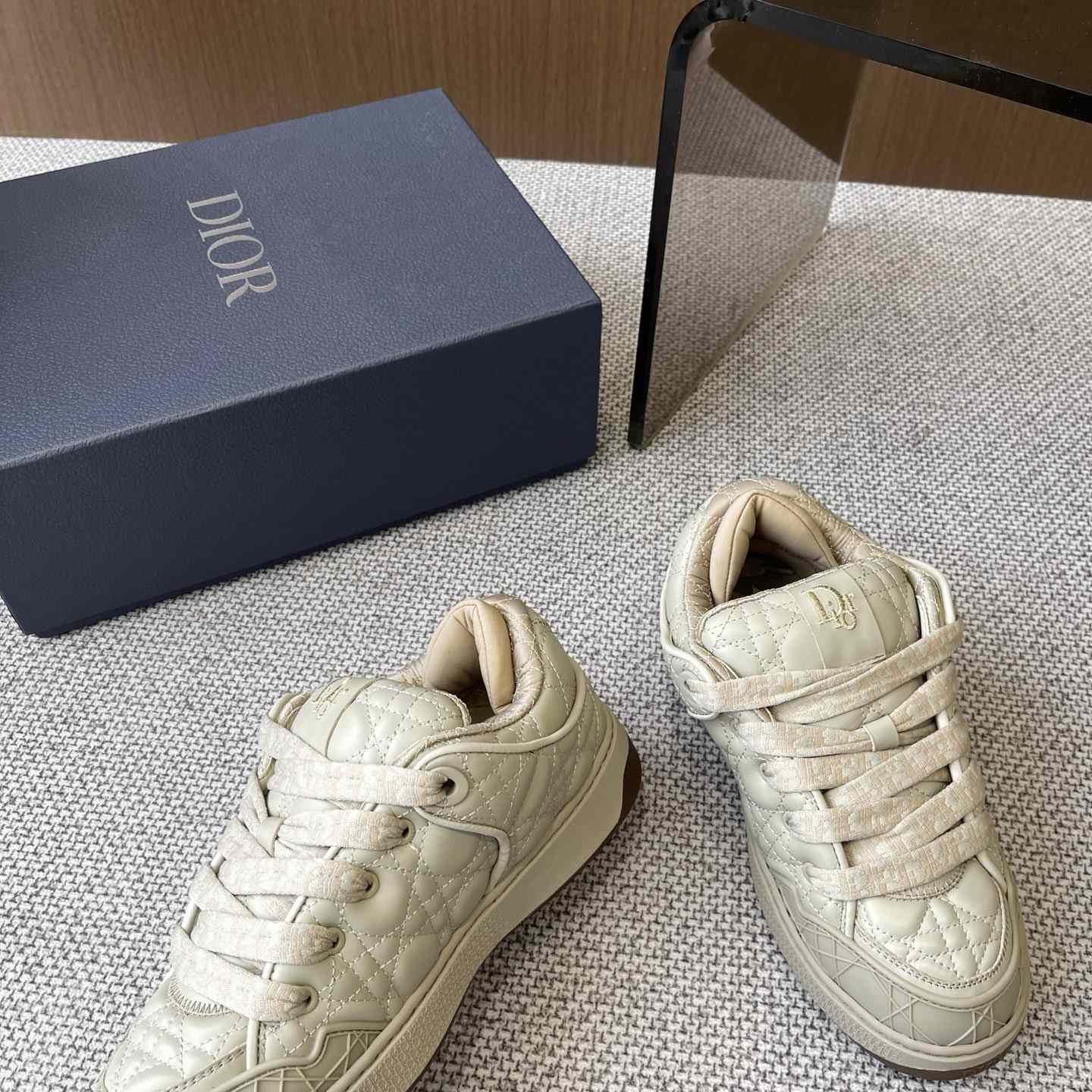 Dior B9S Skater Sneakers - DopestKickz