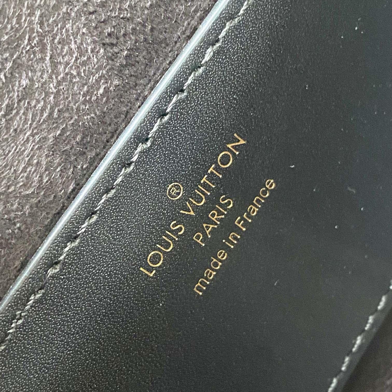 Louis Vuitton Tilsitt Handbag   M83473 - DopestKickz