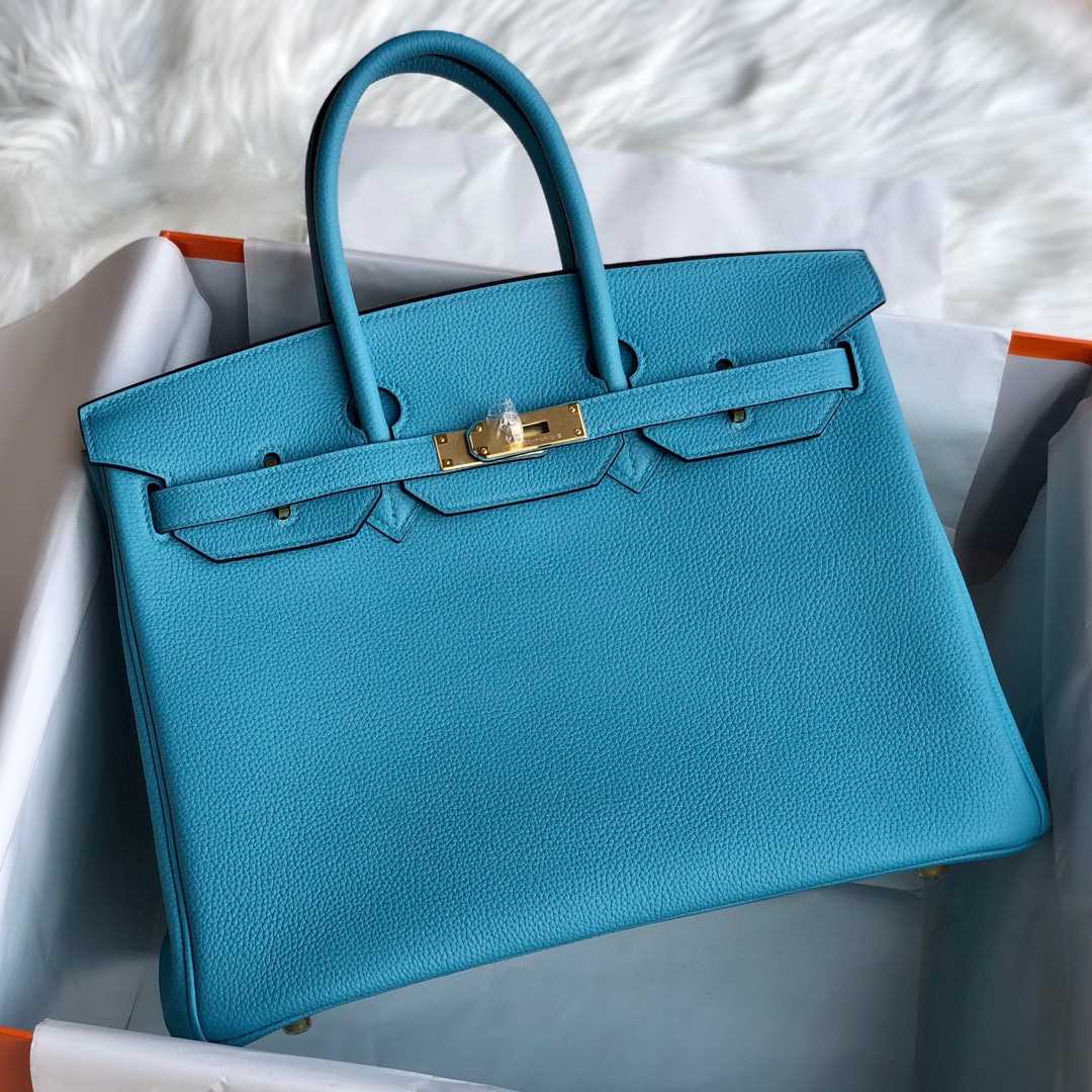 Hermès Blue Mallard Togo 25 cm Birkin Bag - DopestKickz