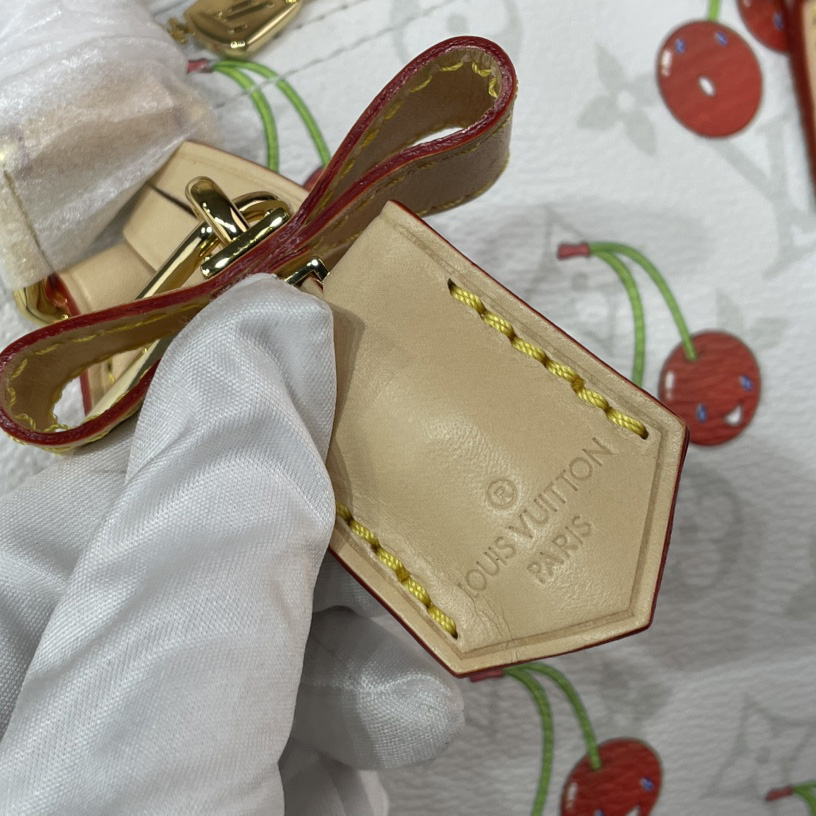 Louis Vuitton LV x TM Speedy Soft Bandoulière 30   M14238 - DopestKickz