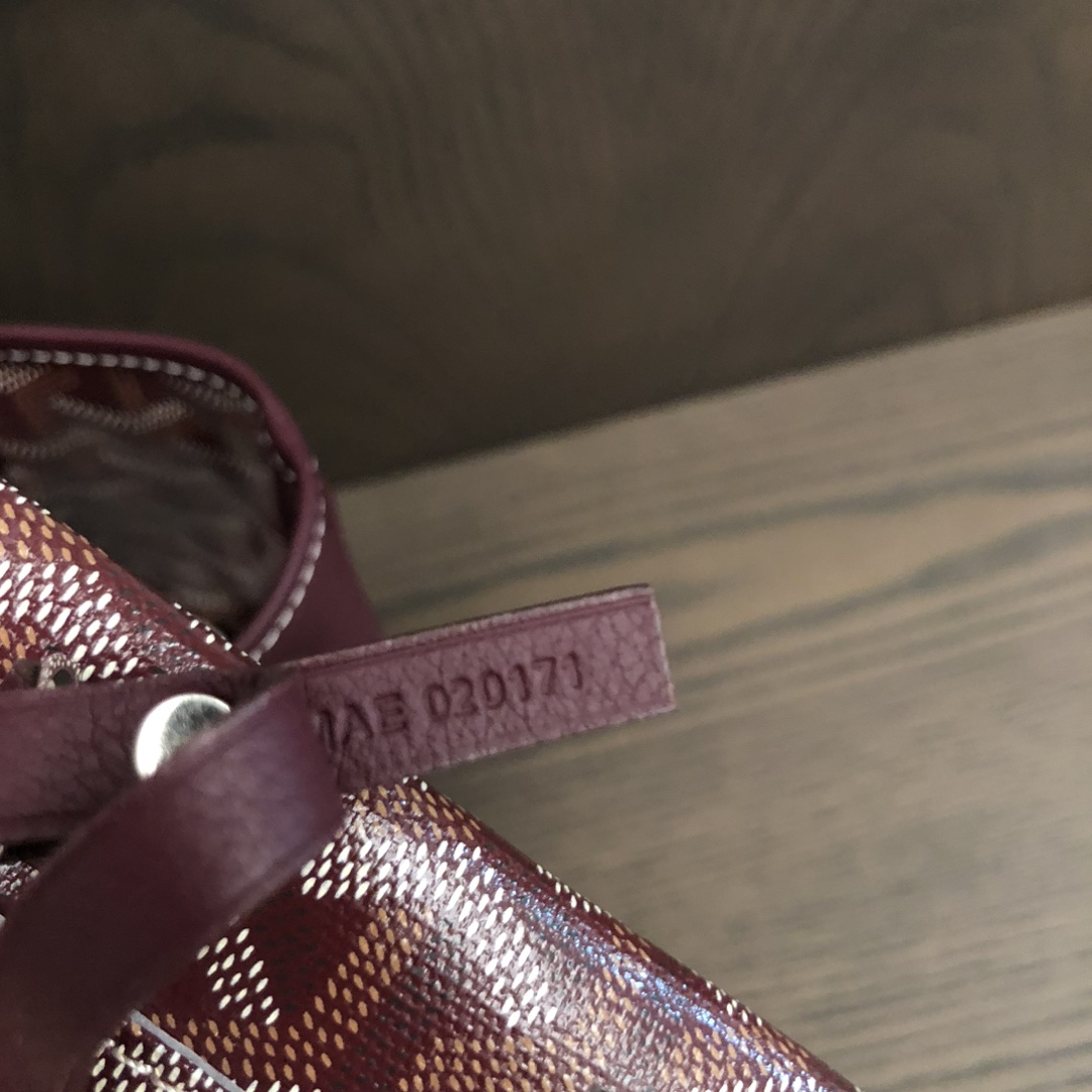 Goyard Anjou Mini Bag  - DopestKickz