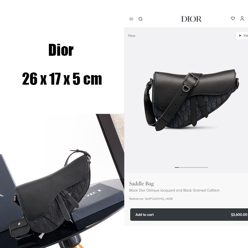 Dior Saddle Bag  - DopestKickz