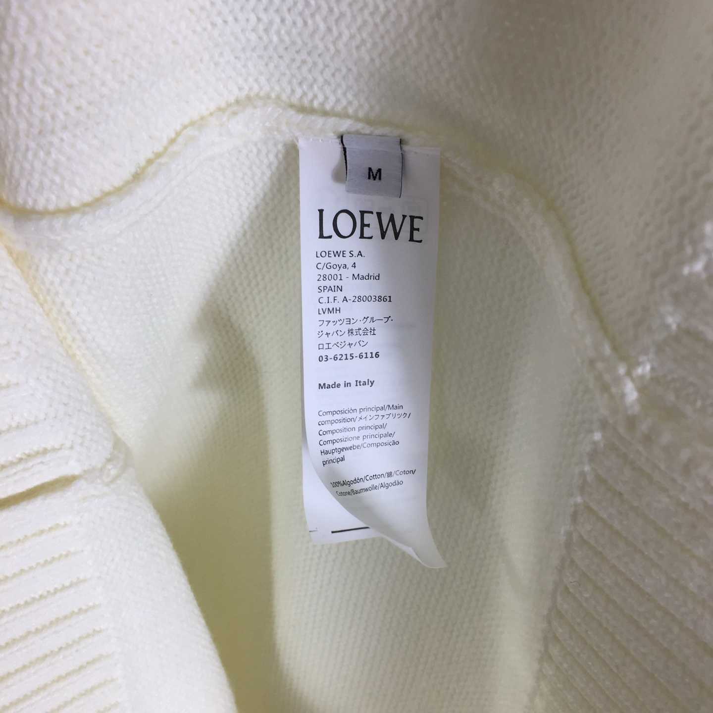 Loewe Sweater In Wool - DopestKickz