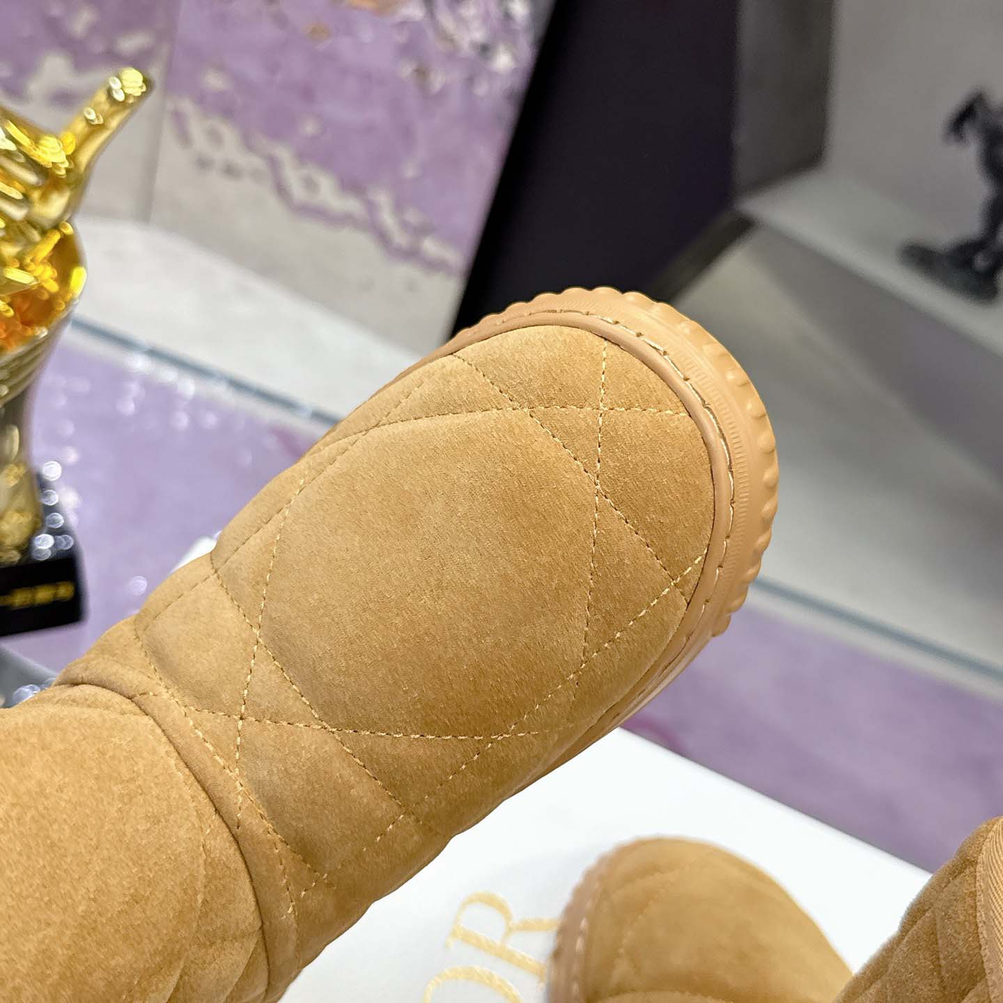 Dior Frost Ankle Boot  - DopestKickz