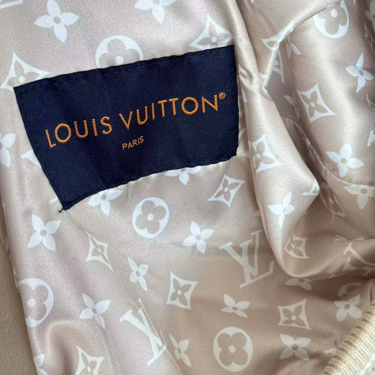 Louis Vuitton LV x The Darjeeling Limited Embroidered Varsity Blouson - DopestKickz