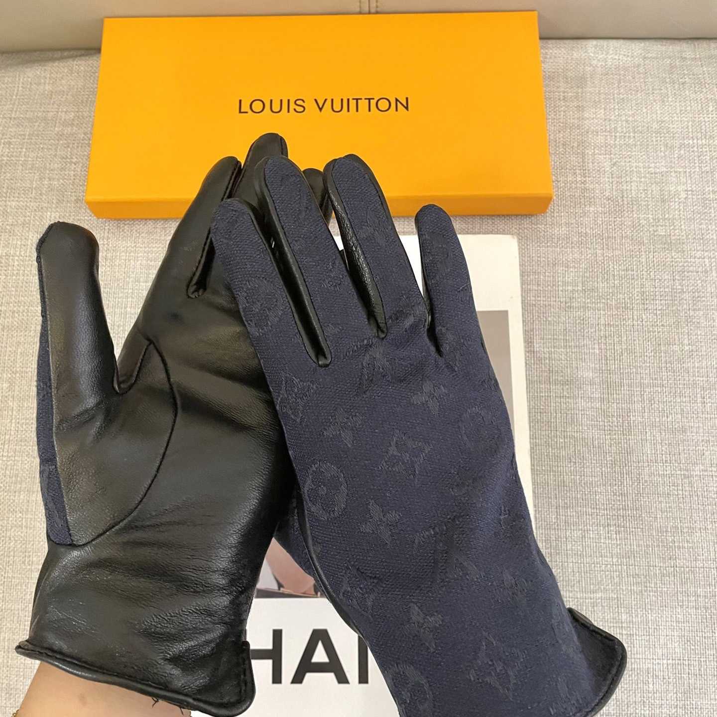 Louis Vuitton Gloves - DopestKickz