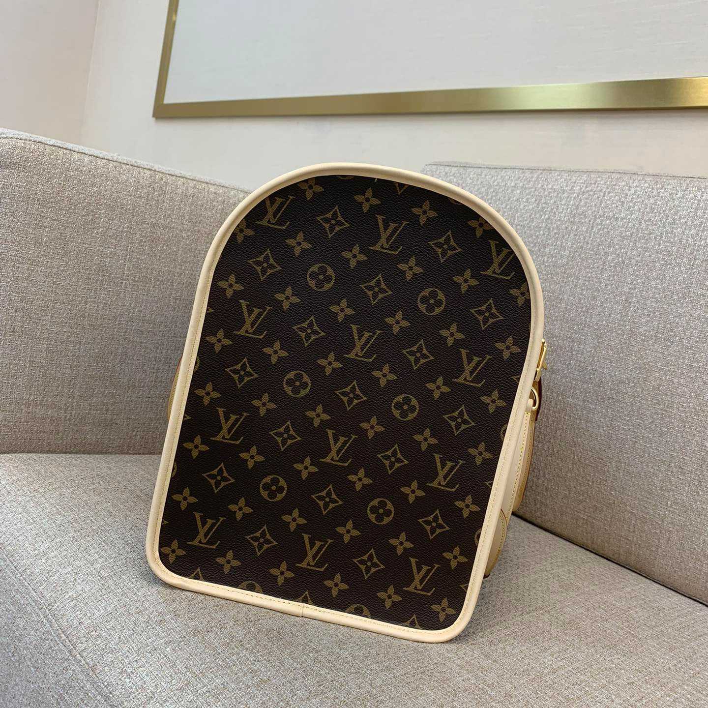 Louis Vuitton Dog Bag M45662 - DopestKickz