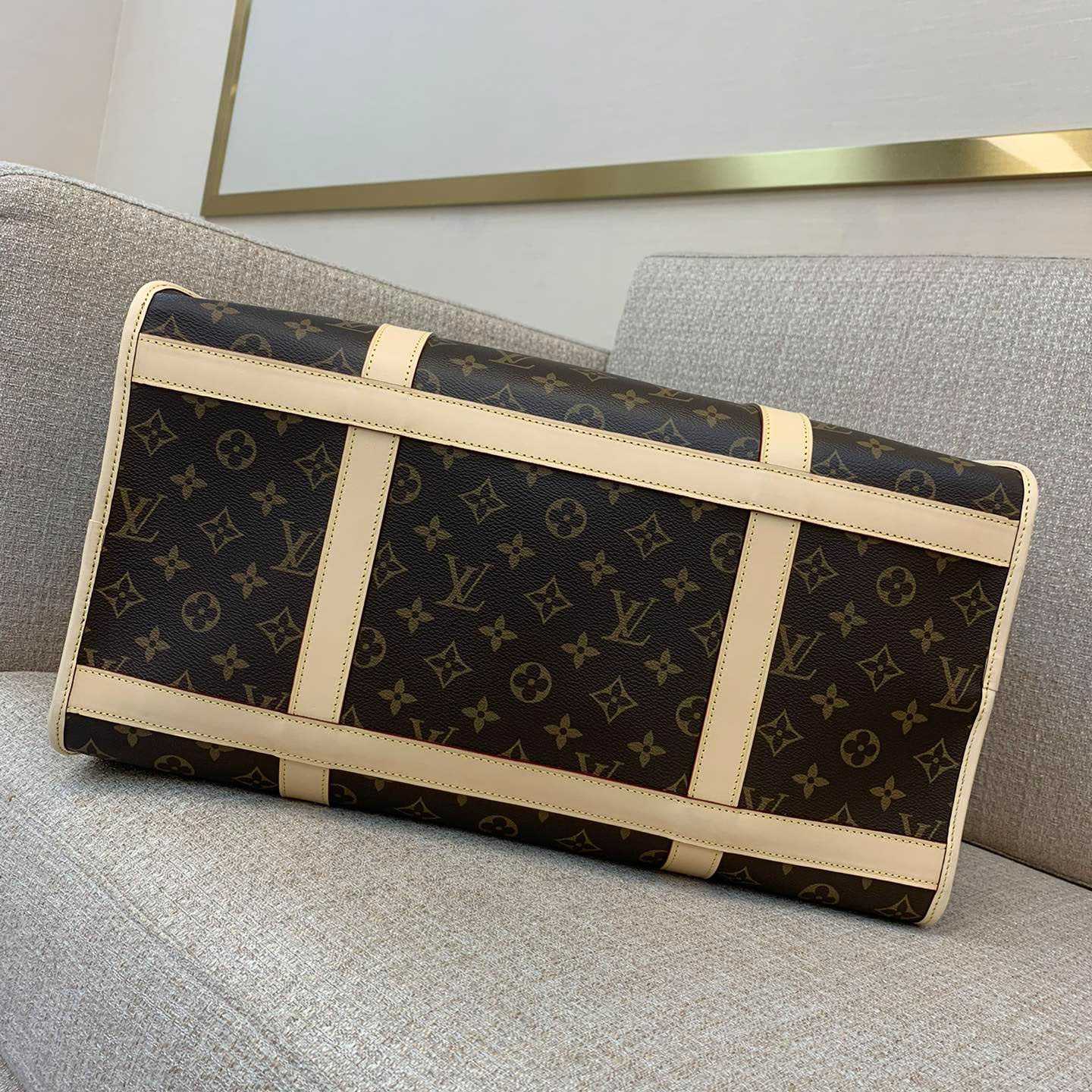 Louis Vuitton Dog Bag M45662 - DopestKickz