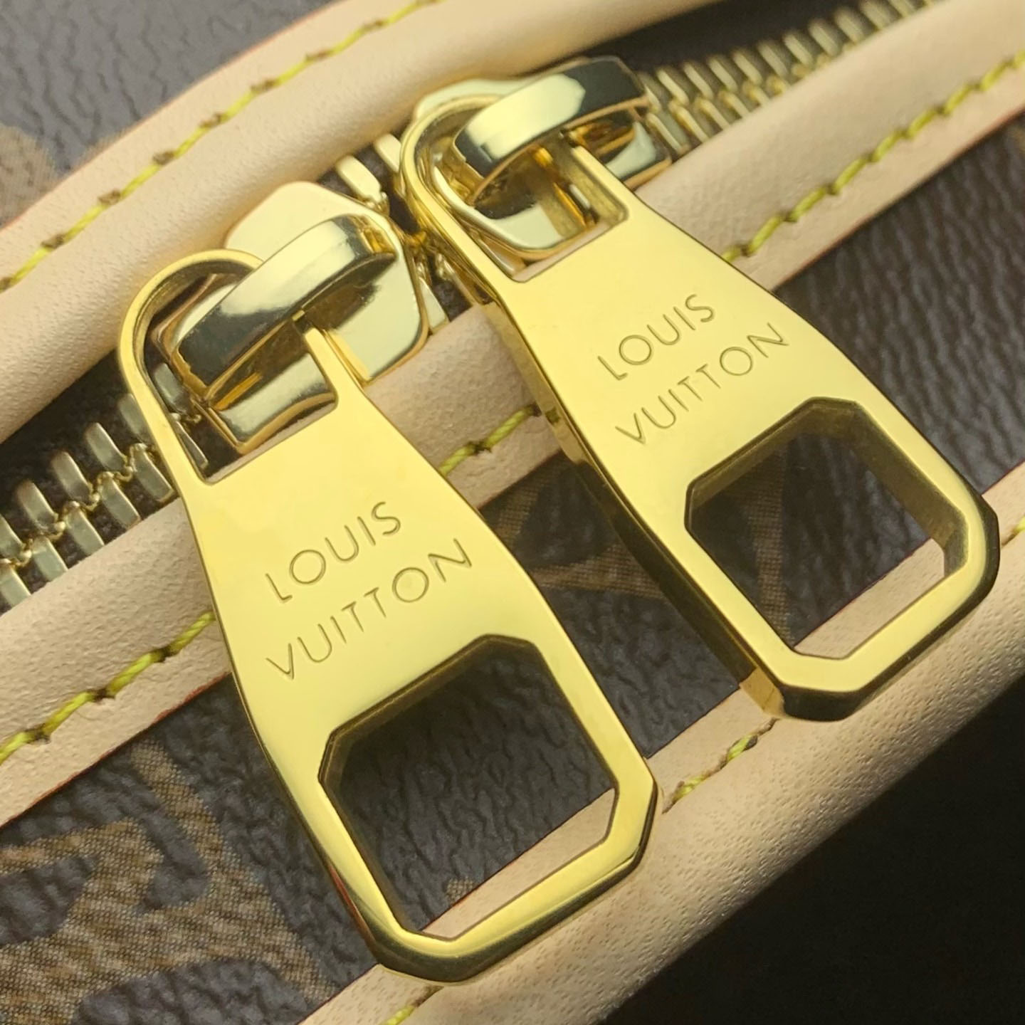 Louis Vuitton Dog Bag M45662 - DopestKickz