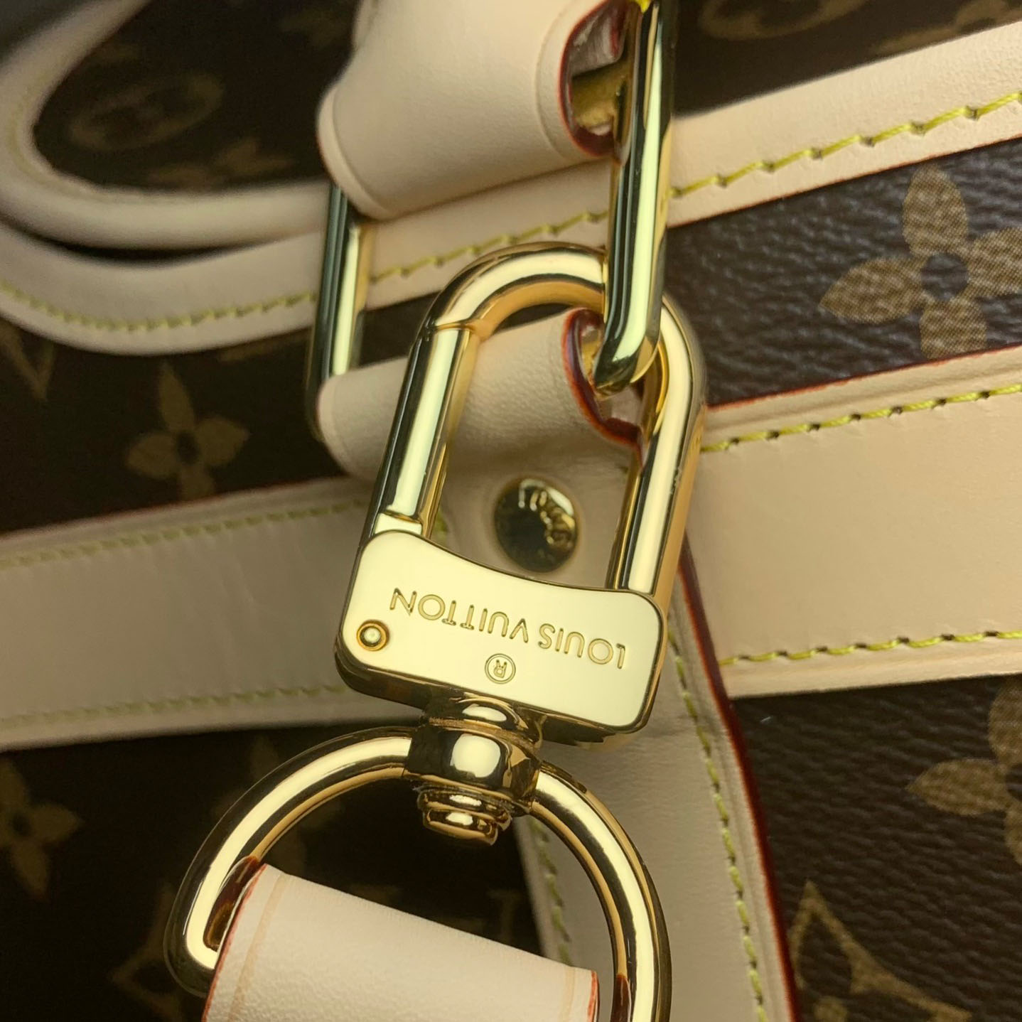 Louis Vuitton Dog Bag M45662 - DopestKickz