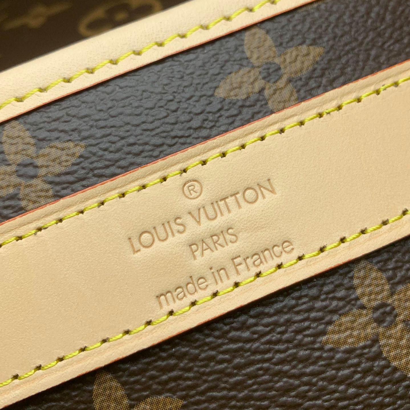 Louis Vuitton Dog Bag M45662 - DopestKickz