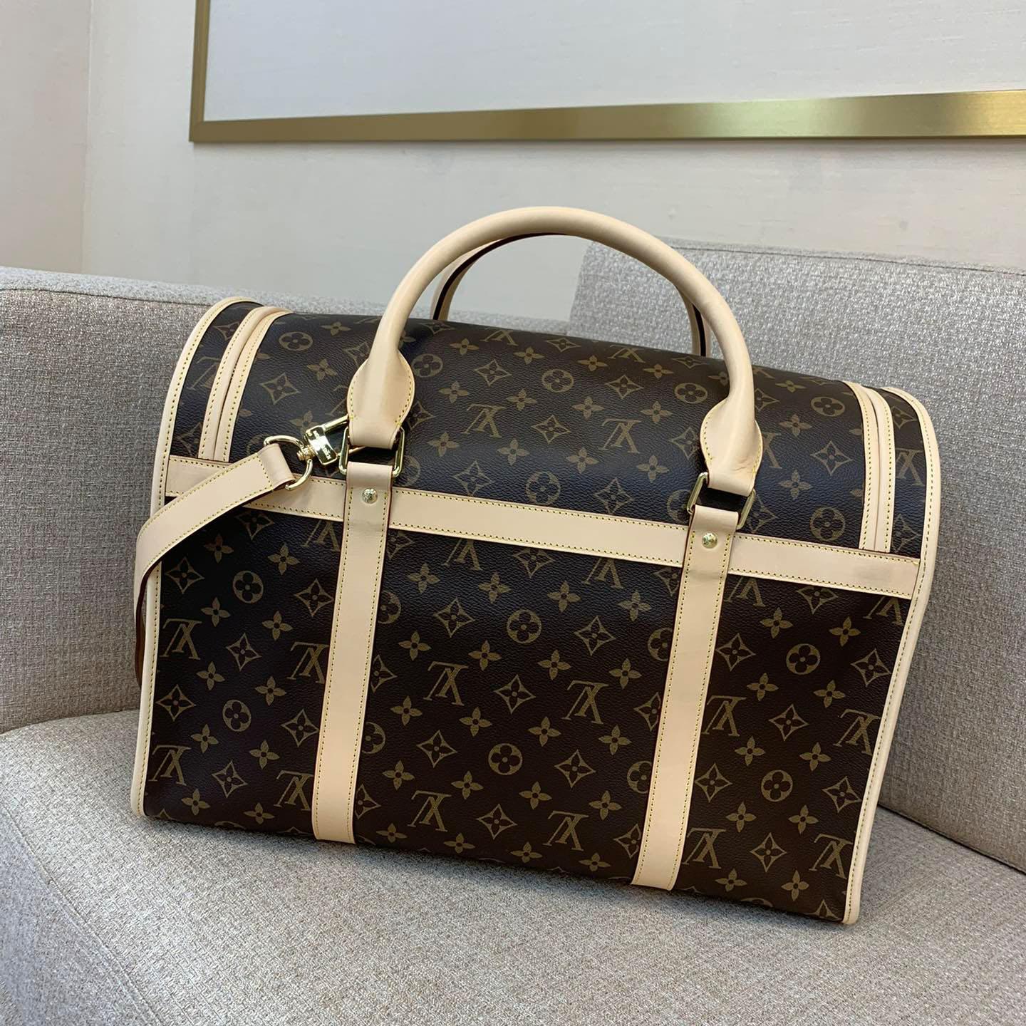 Louis Vuitton Dog Bag M45662 - DopestKickz