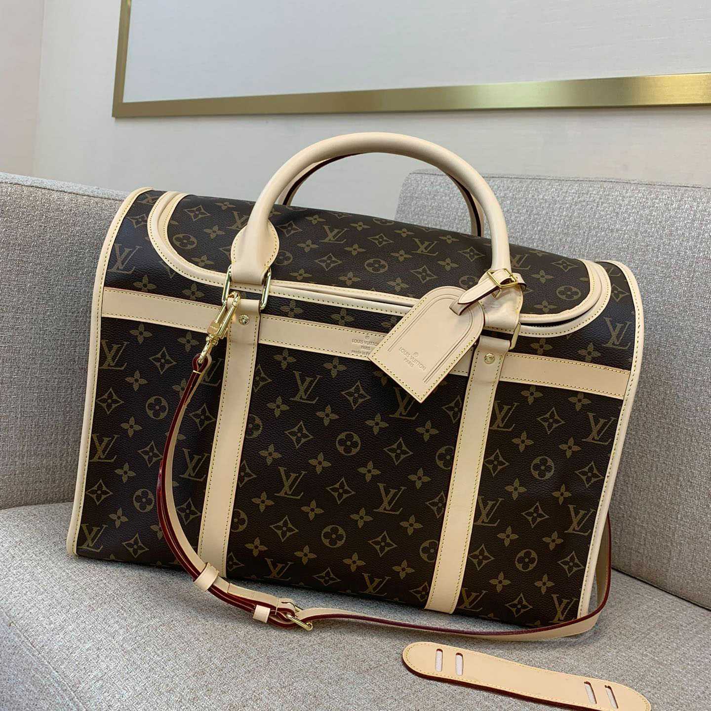 Louis Vuitton Dog Bag M45662 - DopestKickz
