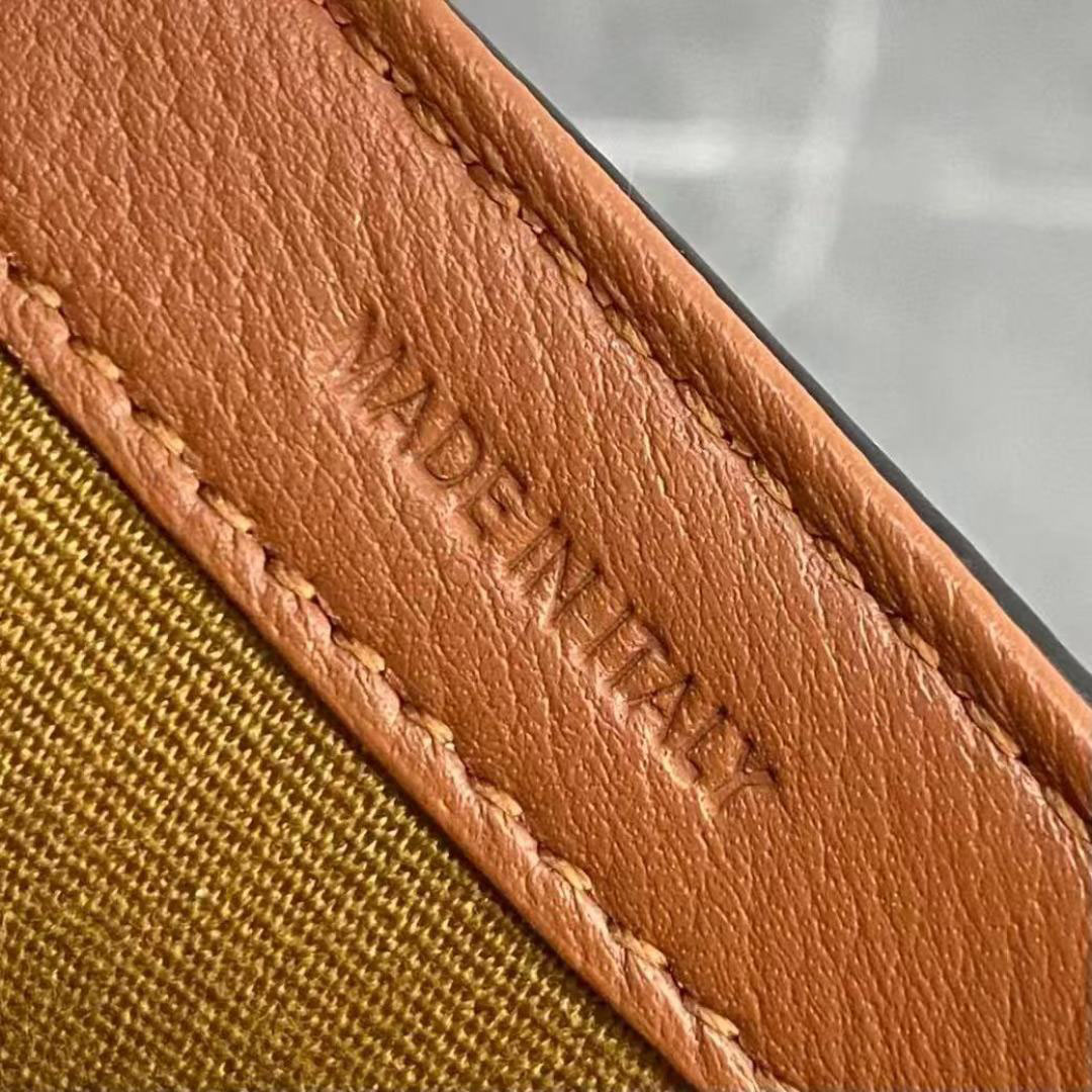 Celine FOLCO SHOULDER BAG IN Triomphe Canvas And Calfskin - DopestKickz