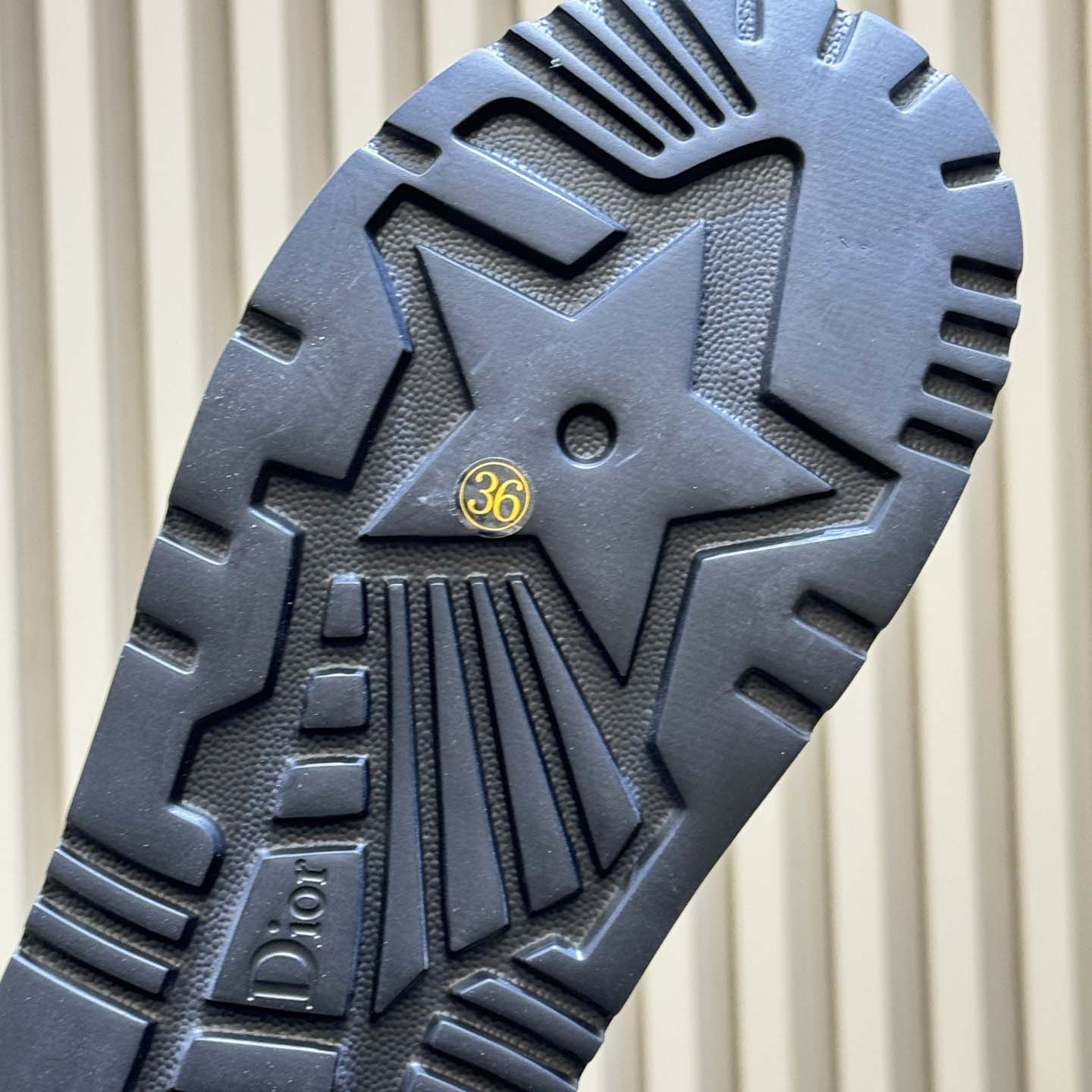 Dior D-Lane Platform Slide - DopestKickz