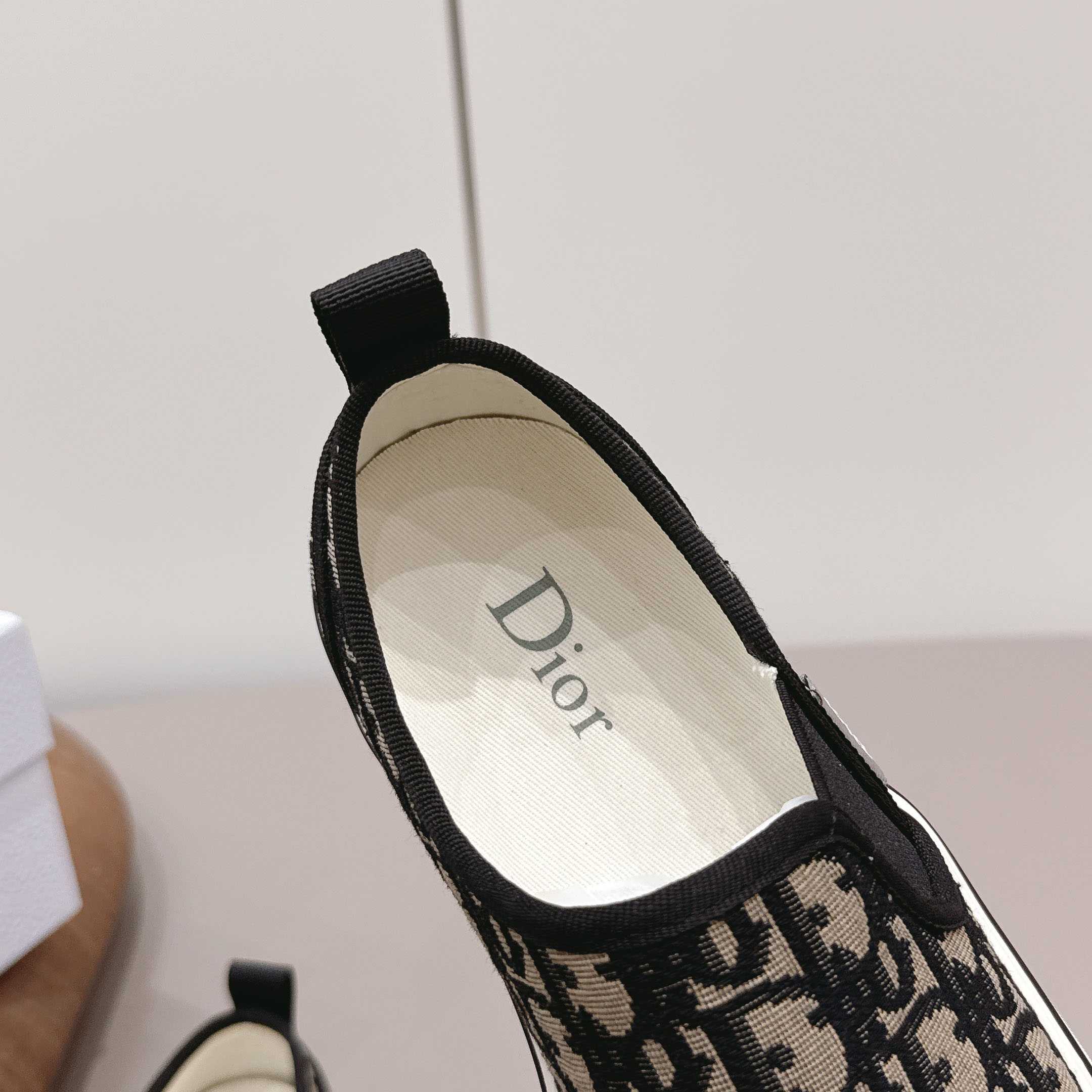 Dior Saltwind Slip-On Sneaker - DopestKickz