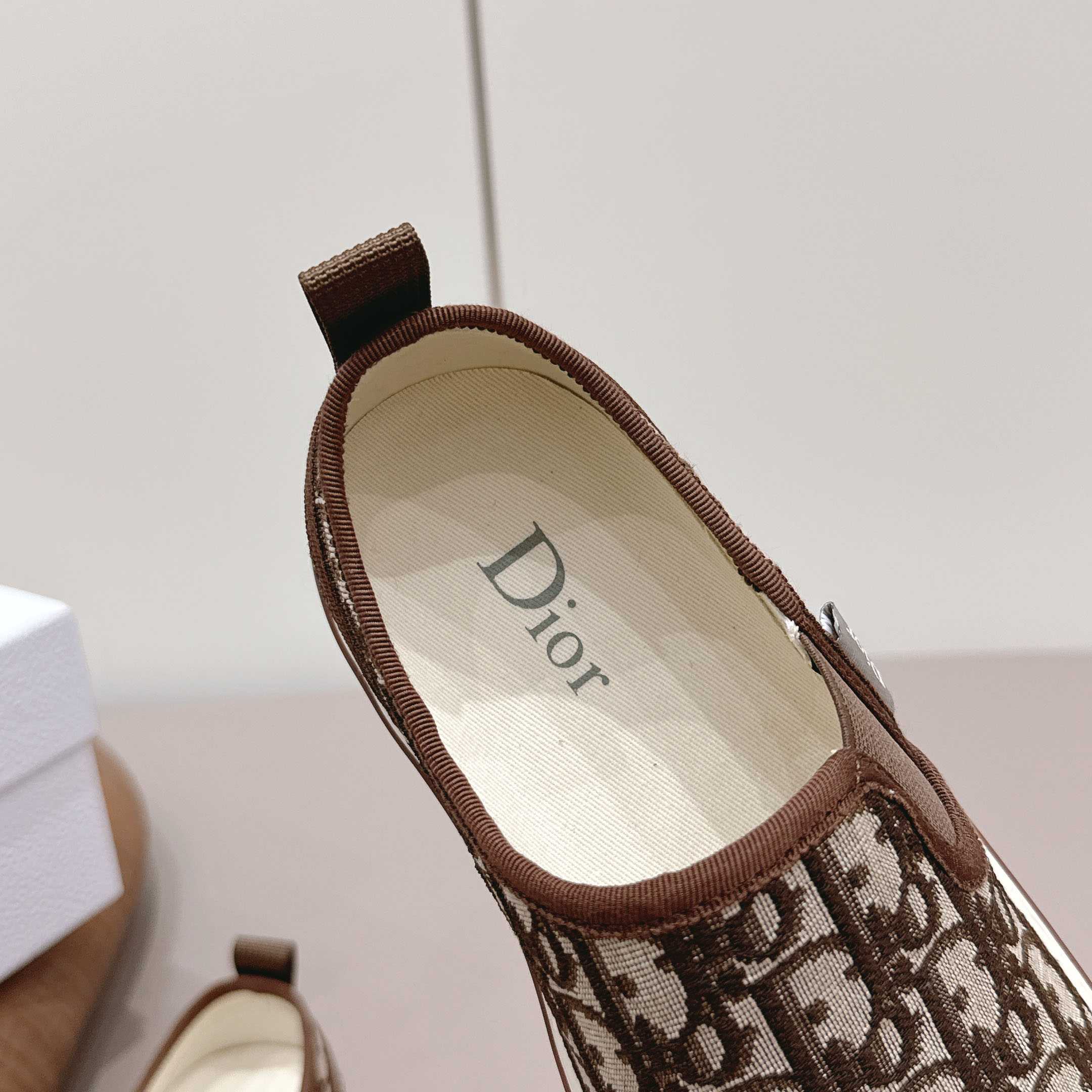 Dior Saltwind Slip-On Sneaker - DopestKickz