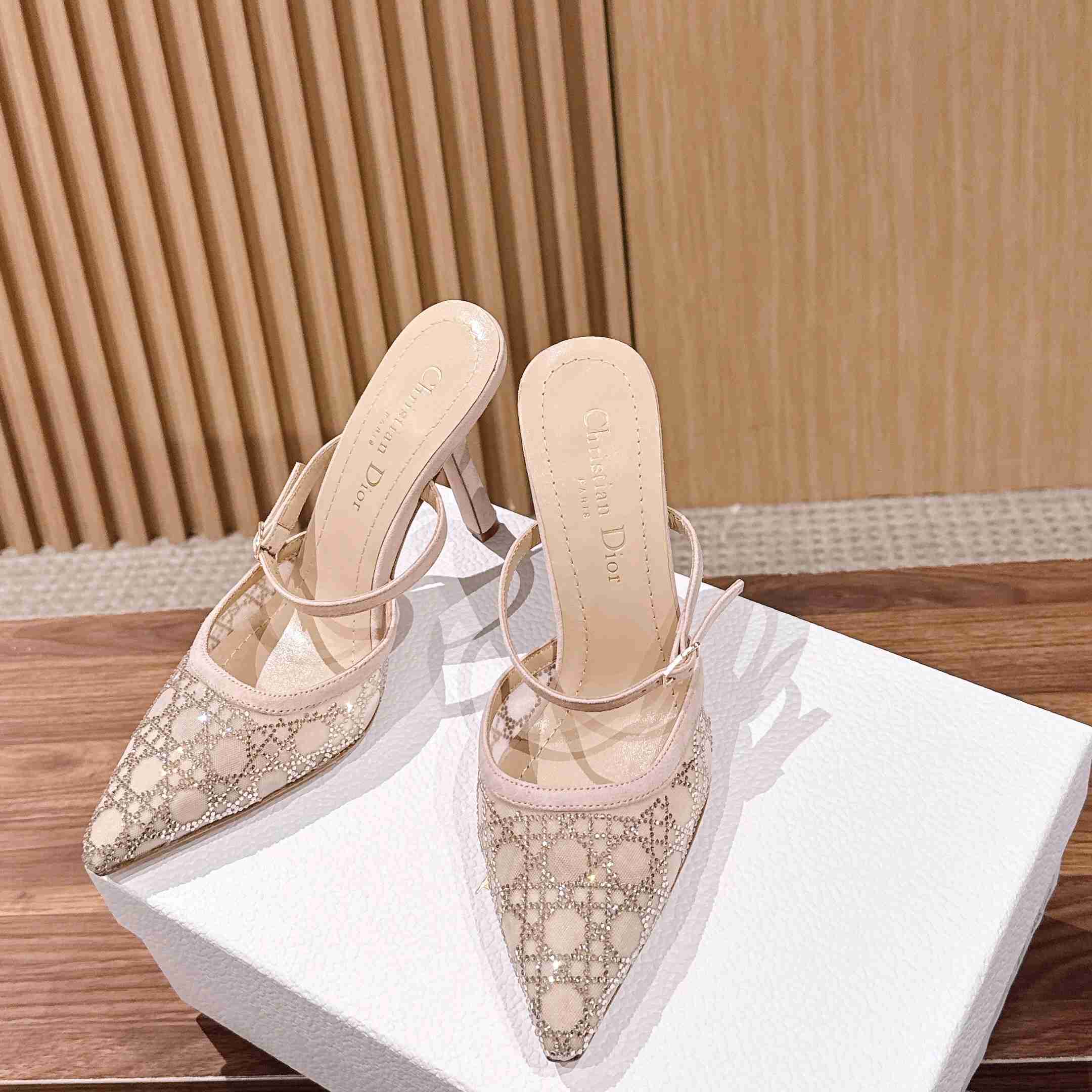 Dior Capture Heeled Mule - DopestKickz