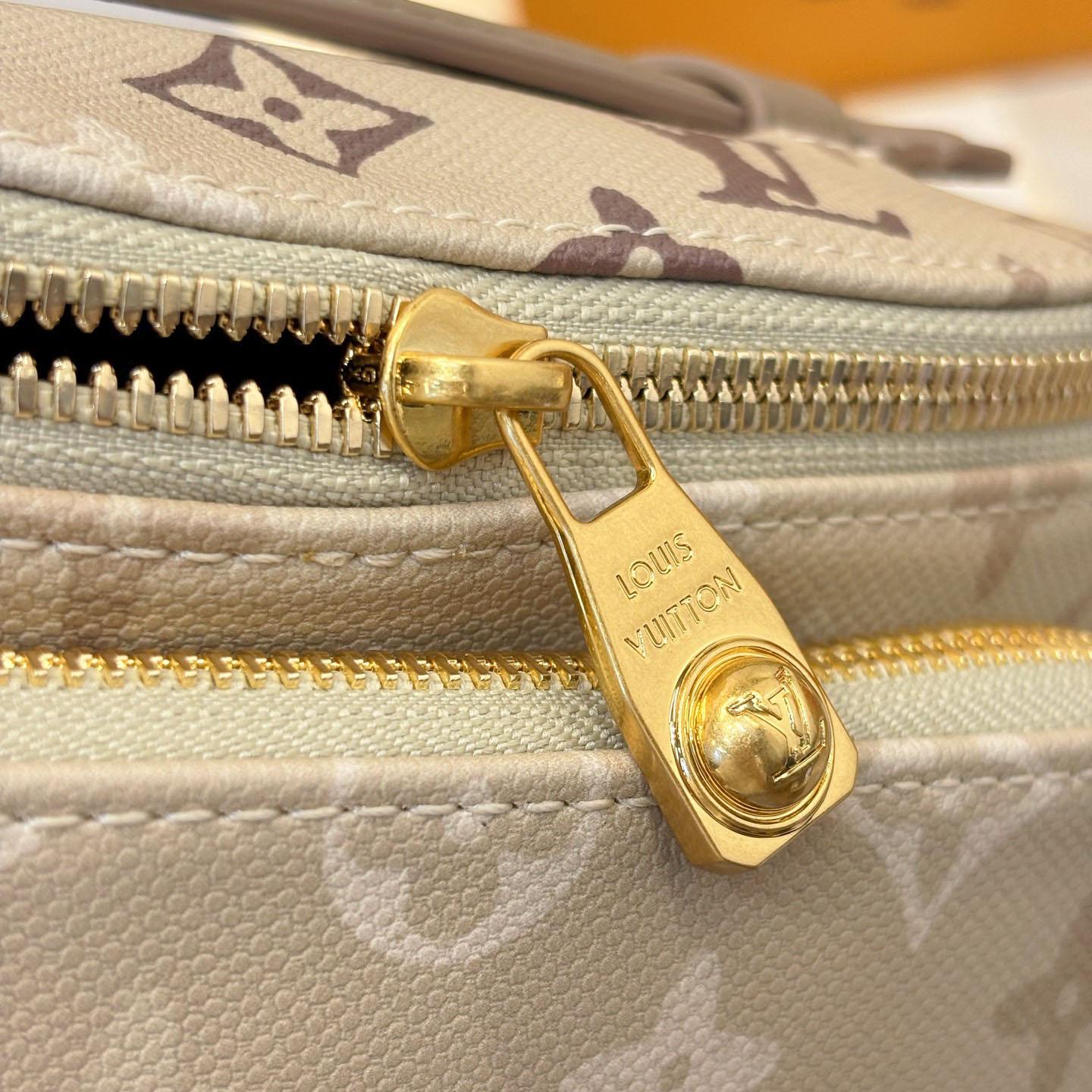 Louis Vuitton Rush Bumbag M29274 - DopestKickz