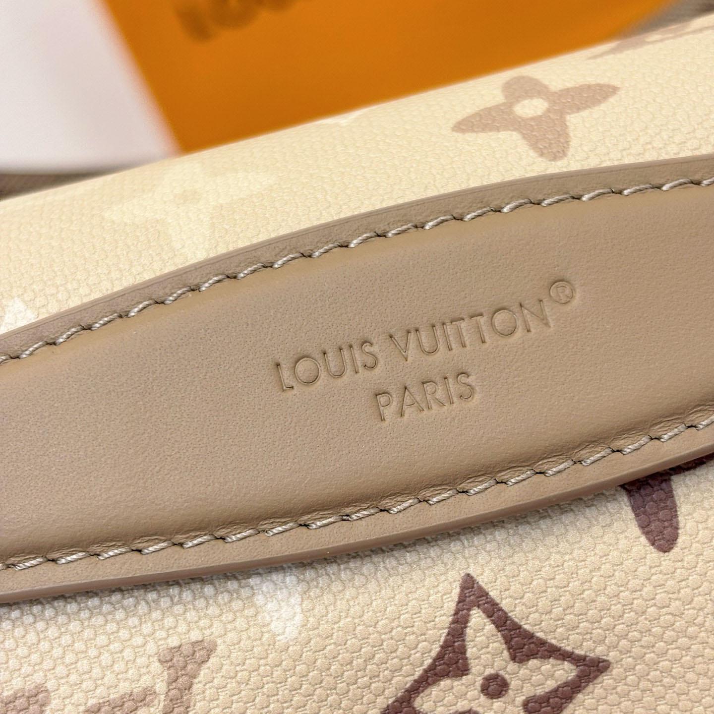 Louis Vuitton Rush Bumbag M29274 - DopestKickz