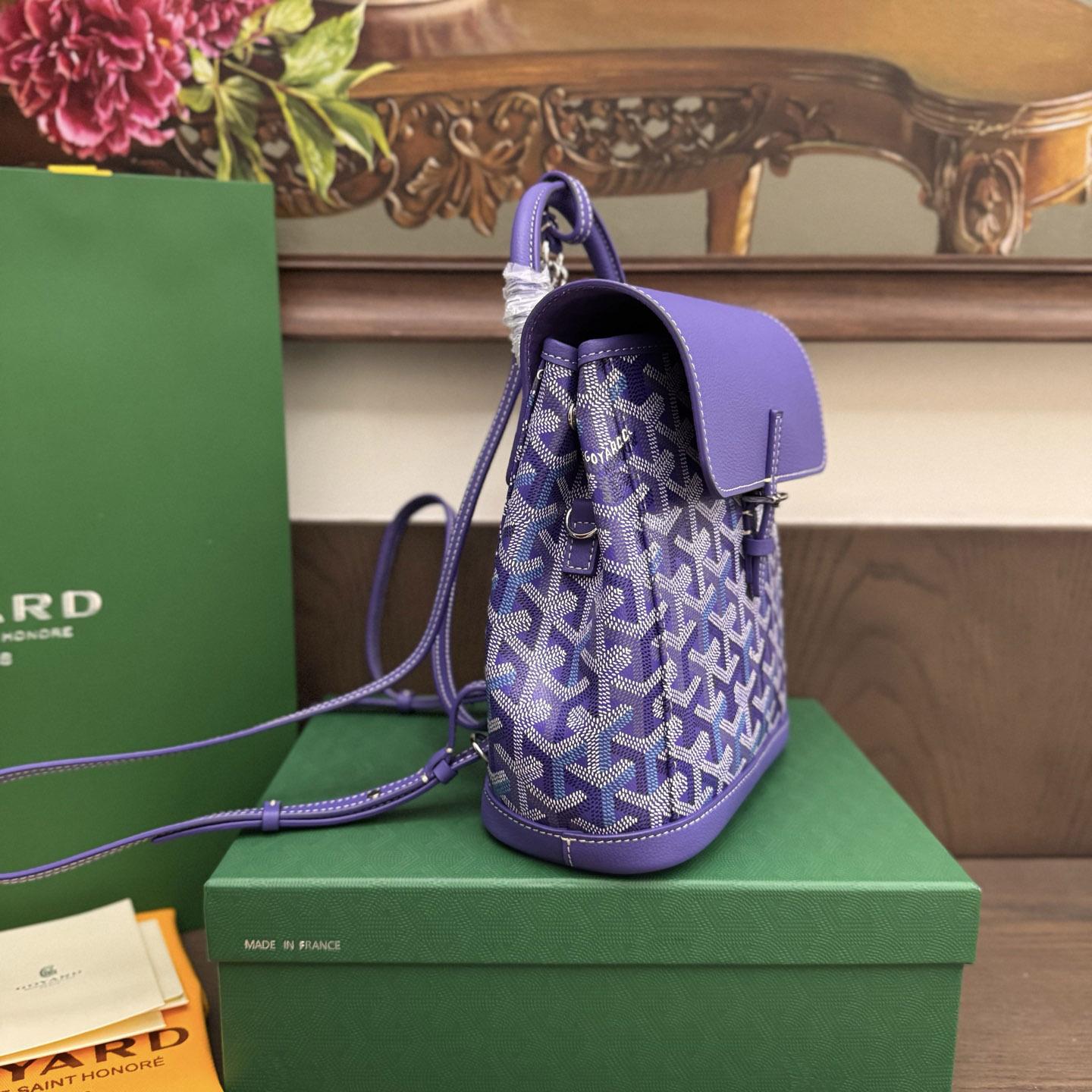 Goyard Alpin Mini Backpack Limited Edition - DopestKickz