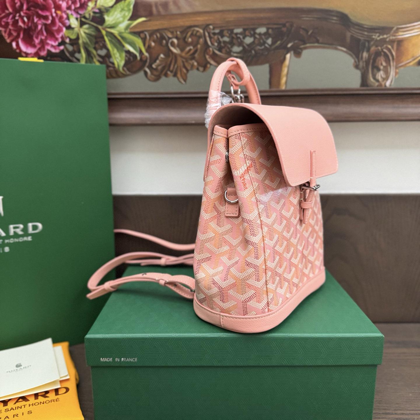 Goyard Alpin Mini Backpack Limited Edition - DopestKickz