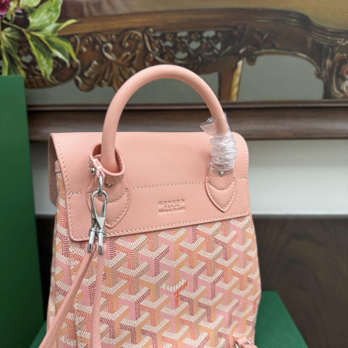 Goyard Alpin Mini Backpack Limited Edition - DopestKickz