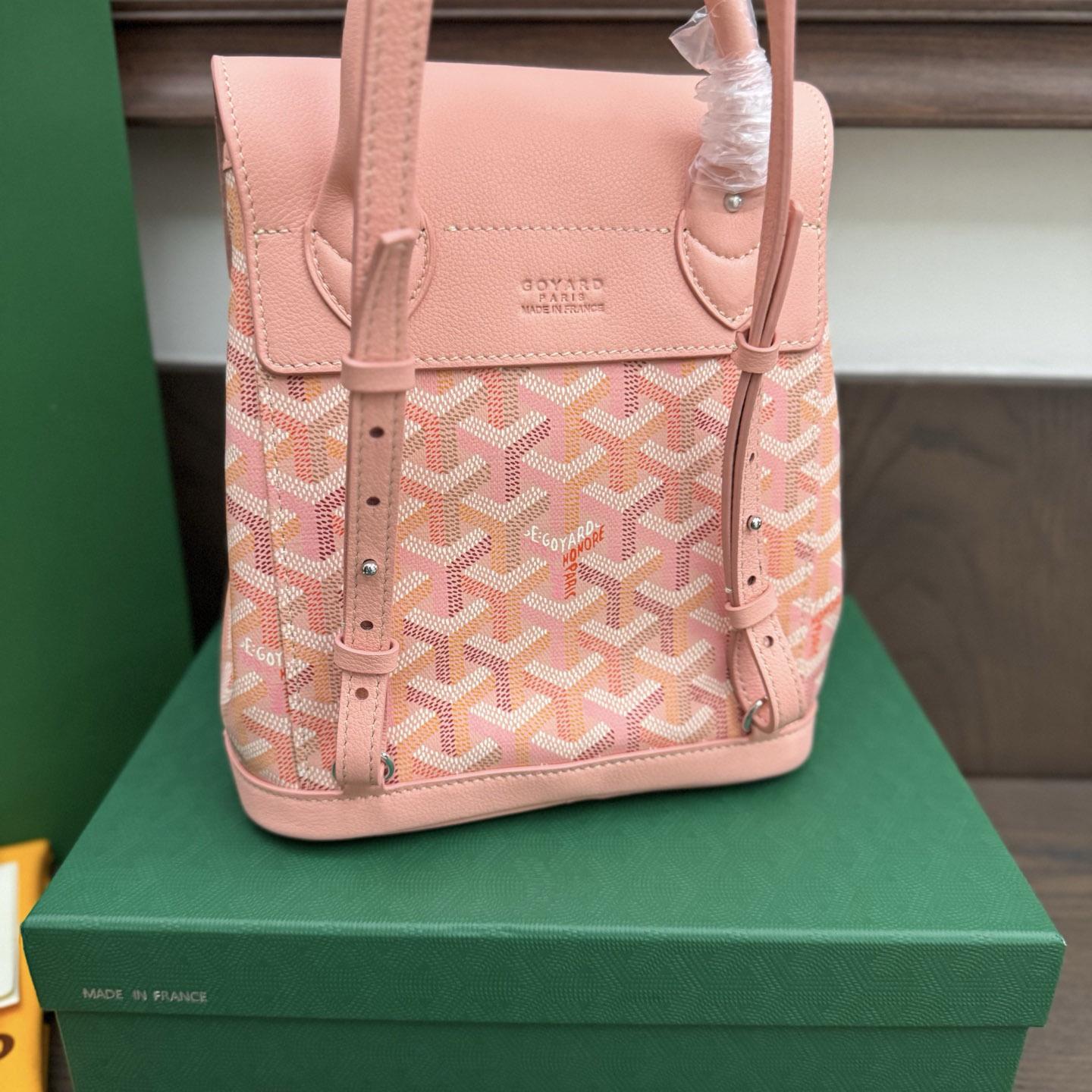 Goyard Alpin Mini Backpack Limited Edition - DopestKickz
