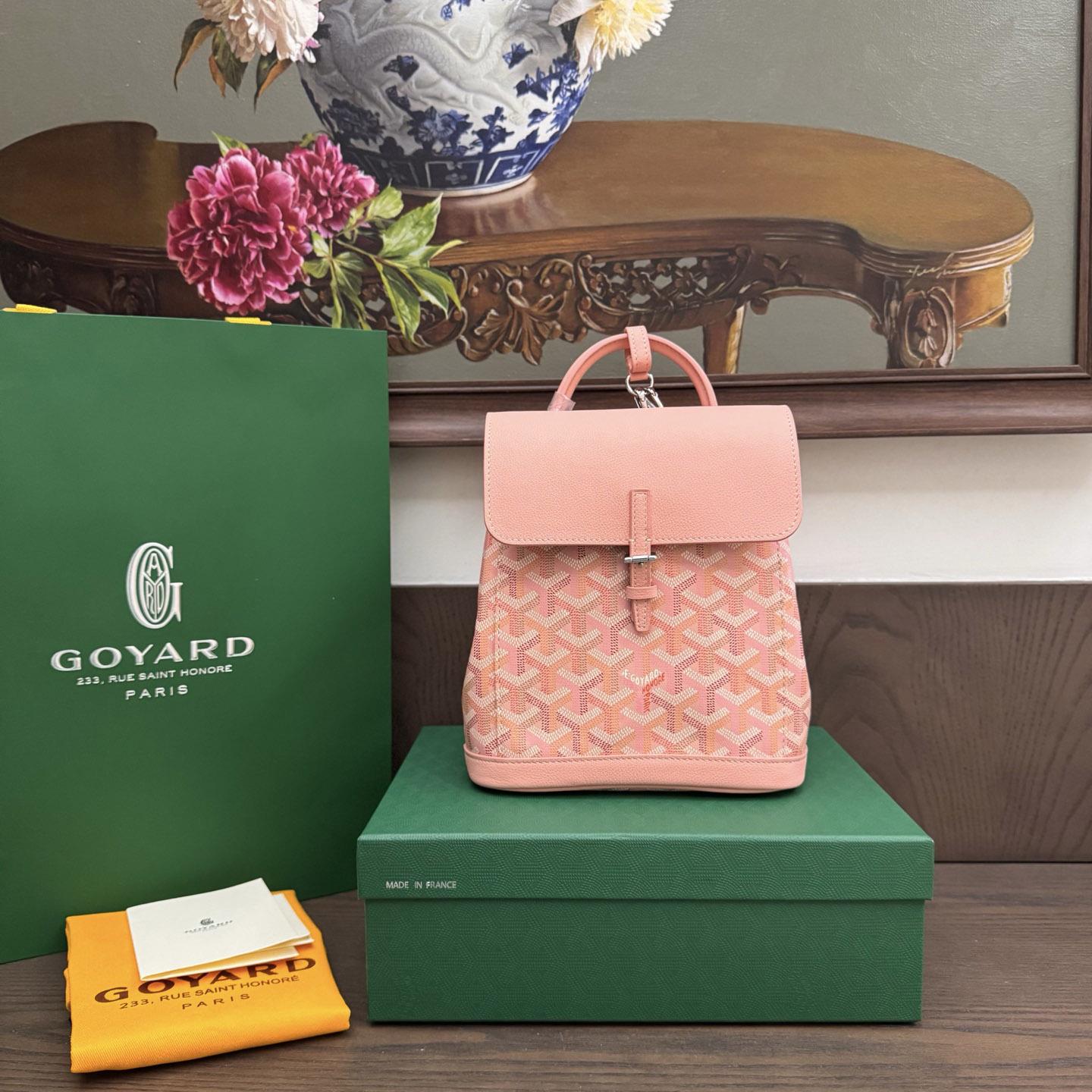 Goyard Alpin Mini Backpack Limited Edition - DopestKickz